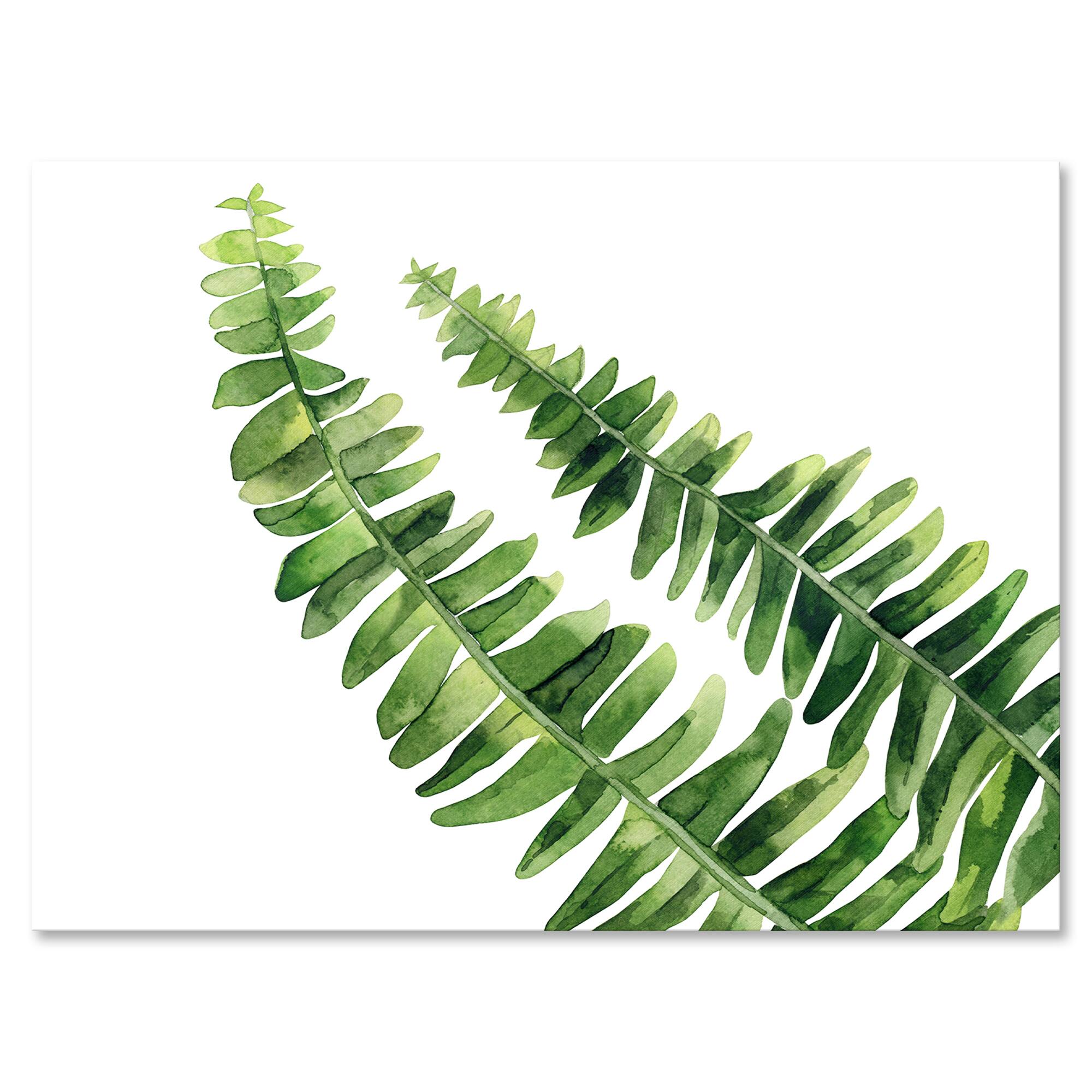 Designart - Fern Leaves Detail I - Farmhouse Canvas Wall Art Print
