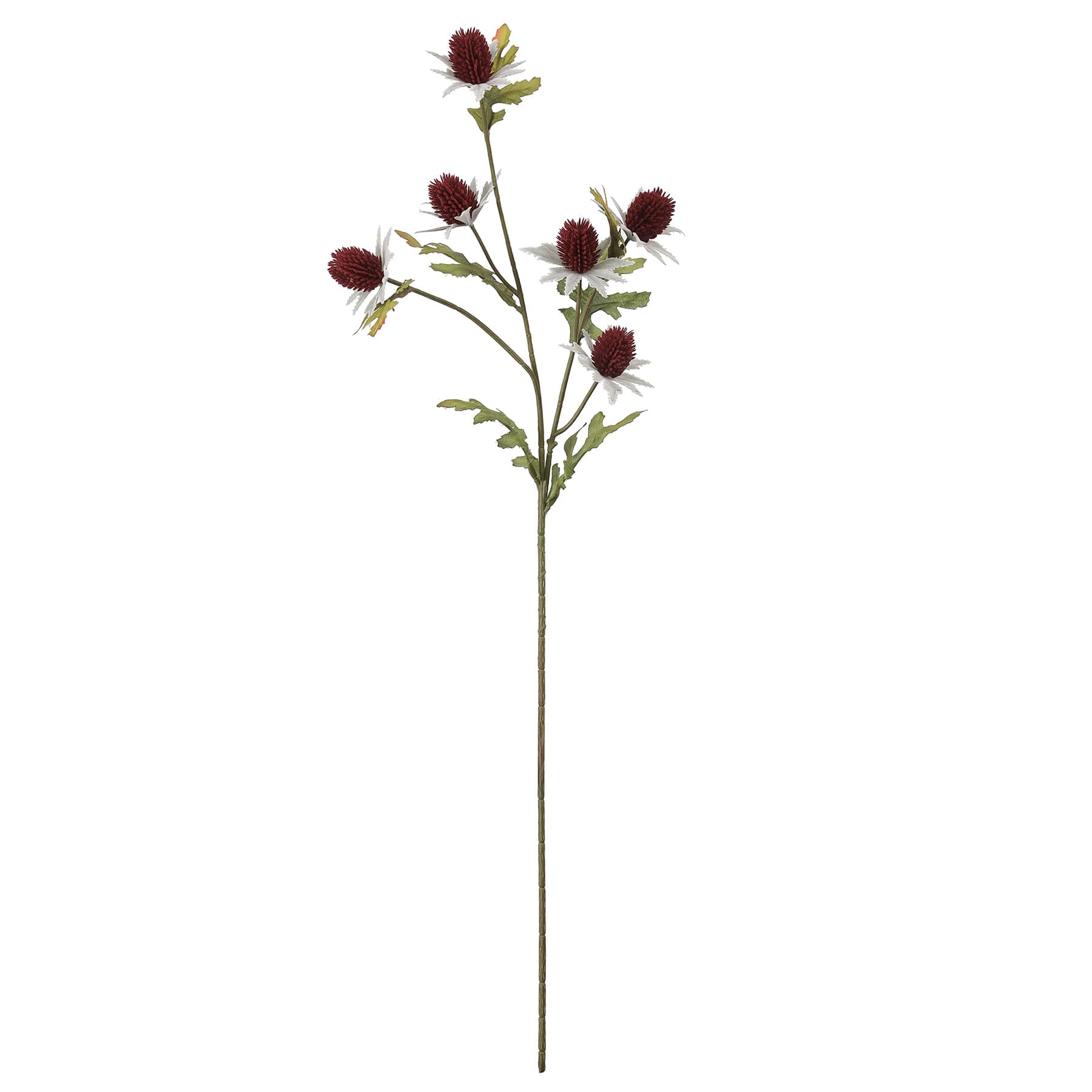 28" Burgundy Thistle Stem by Ashland®