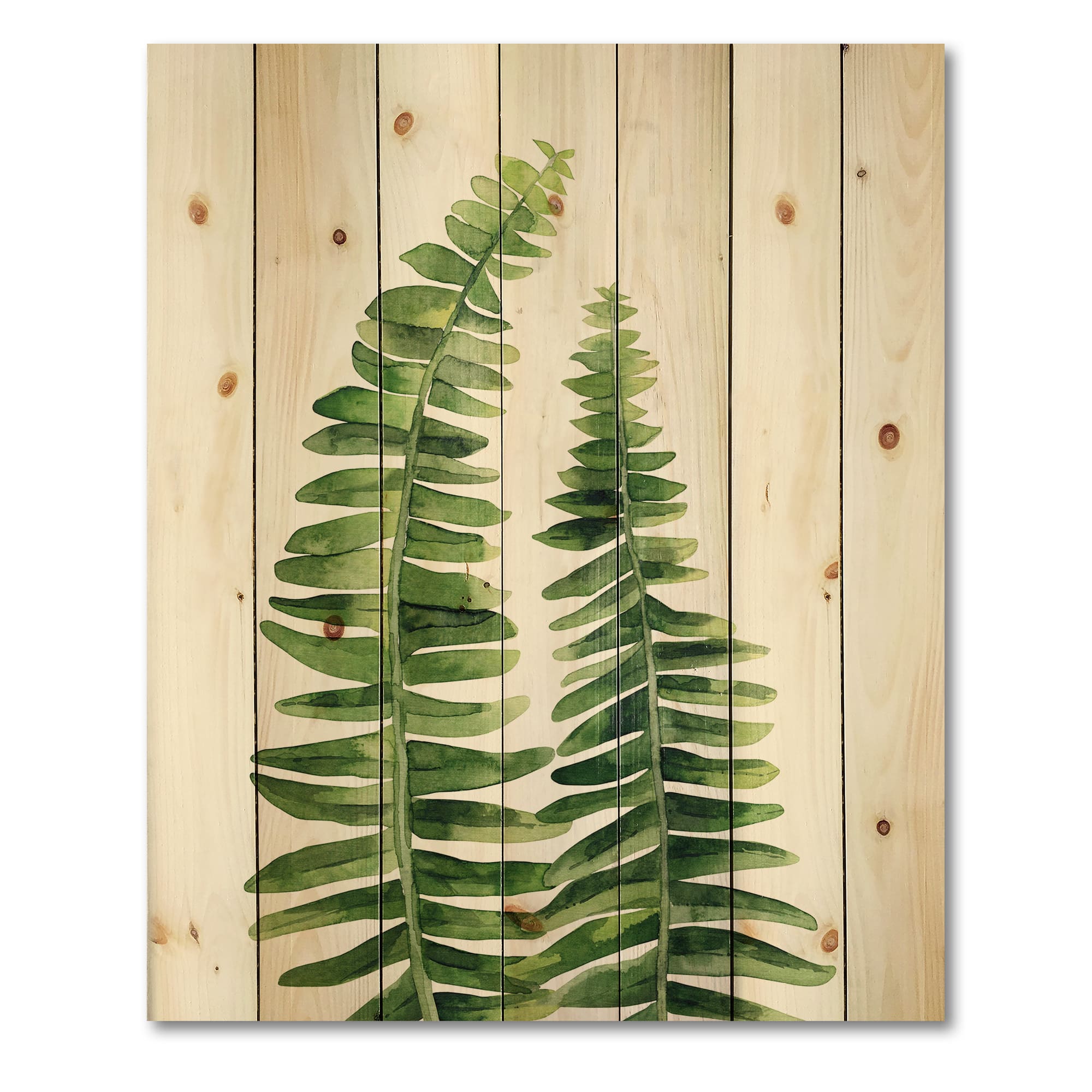 Designart - Fern Leaves Detail IV