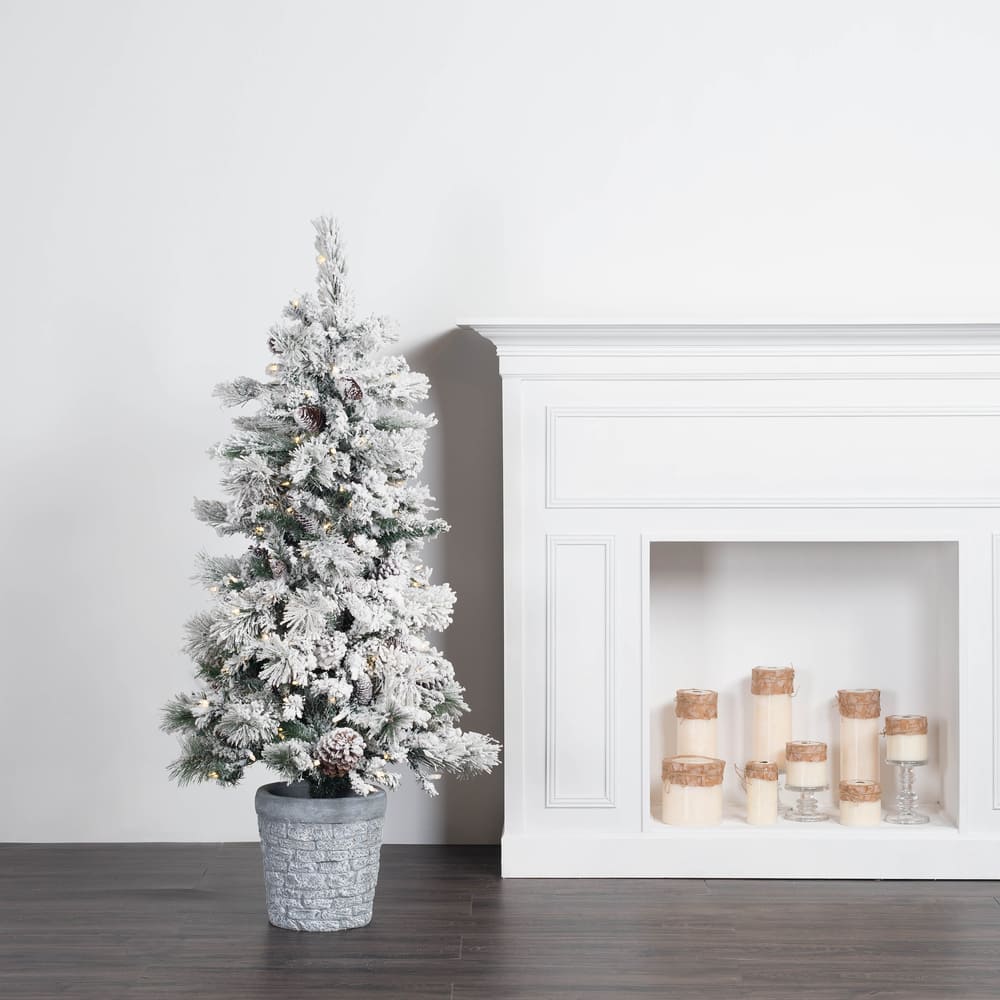 5ft. Pre-Lit Flocked Ashton Pine Artificial Christmas Tree in Planter, Warm White Lights