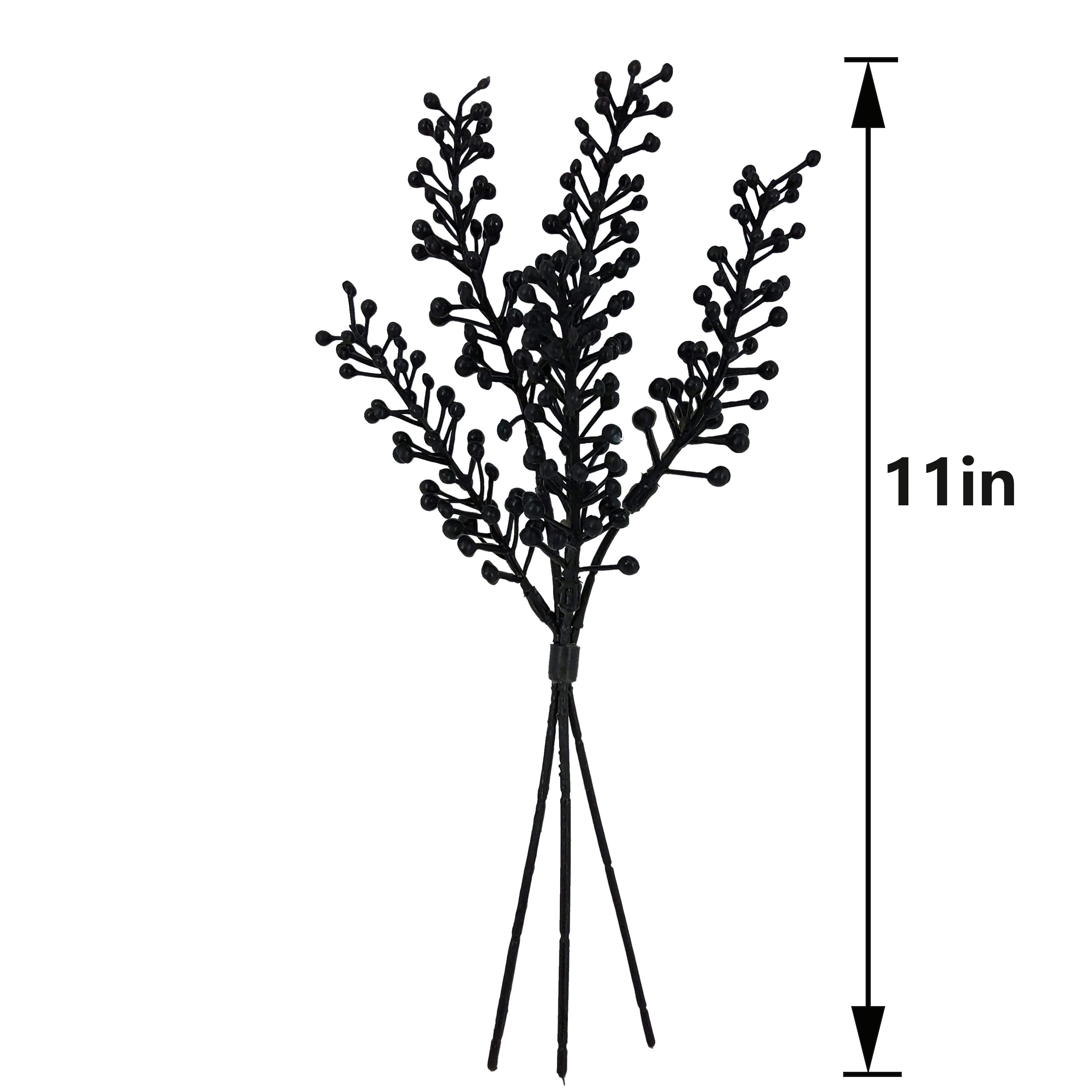 12" Black Berry Seed Mini Bundle by Ashland®