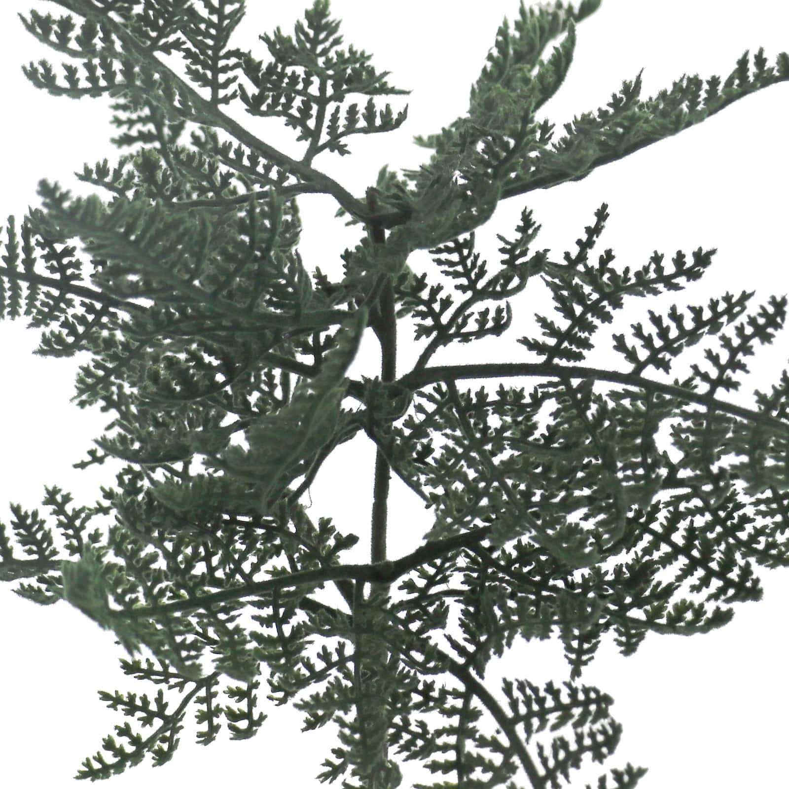 12" Flocked Fern Pick by Ashland