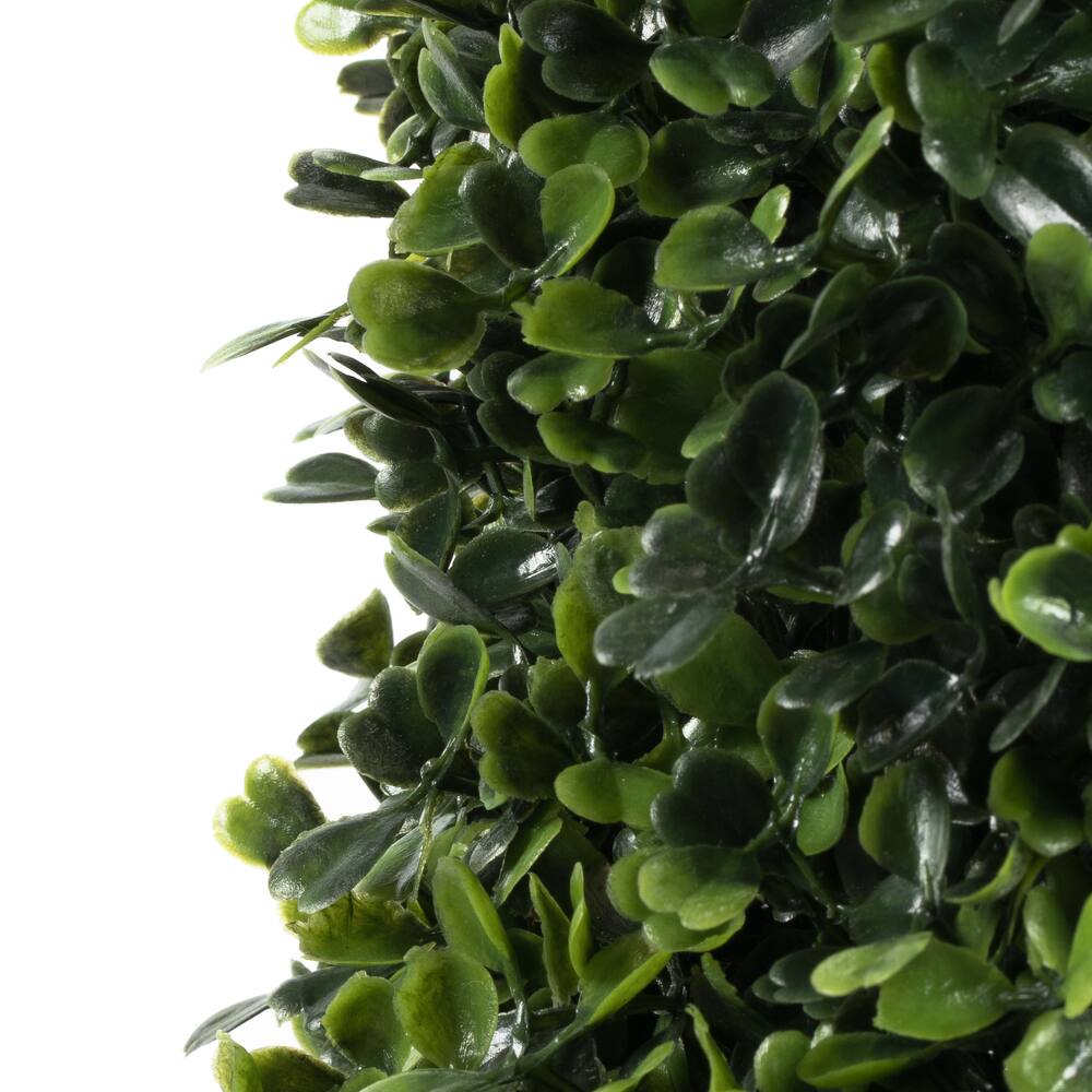 4ft. Potted Boxwood Cone