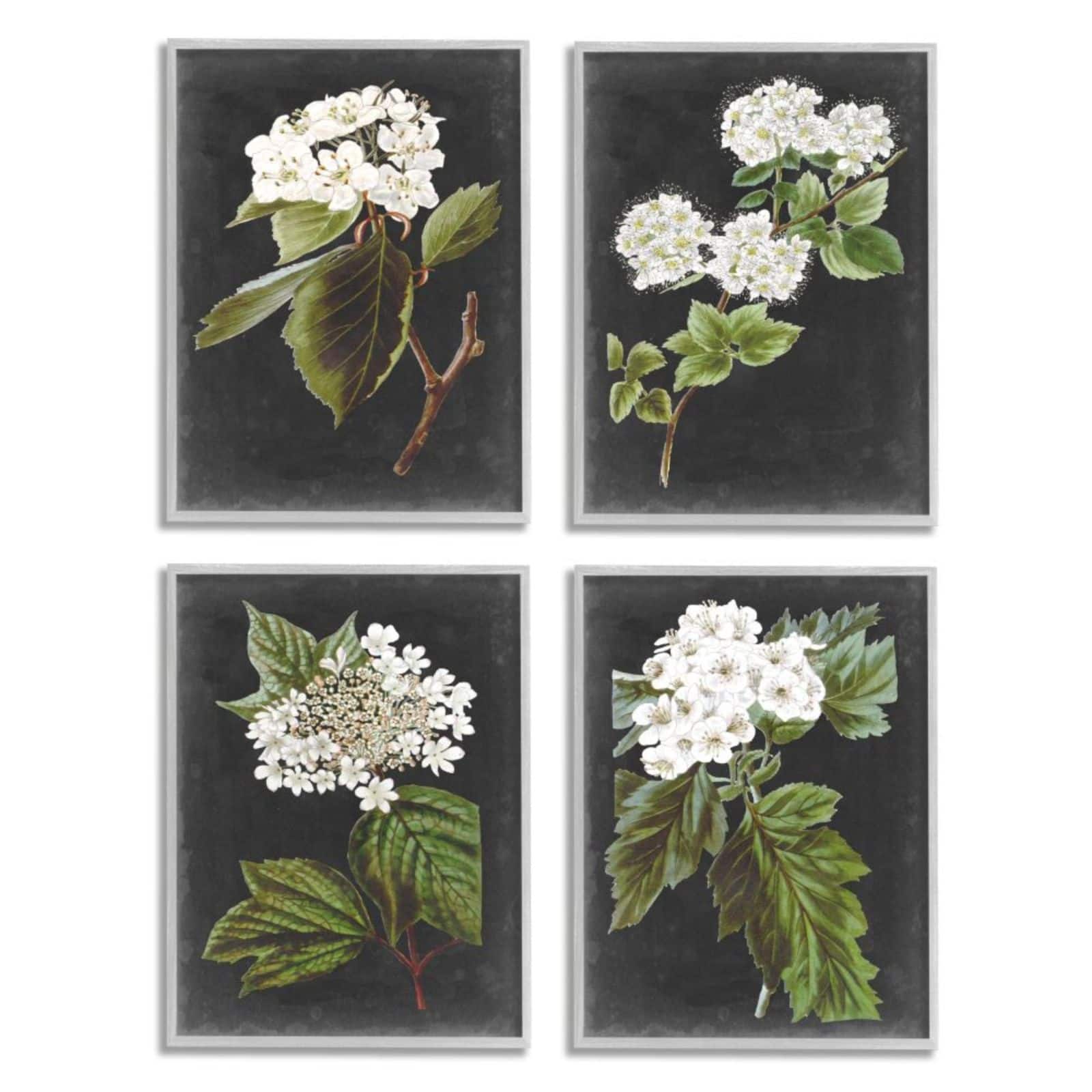 Stupell Industries Gray with White Cottage Florals Framed Wall Art