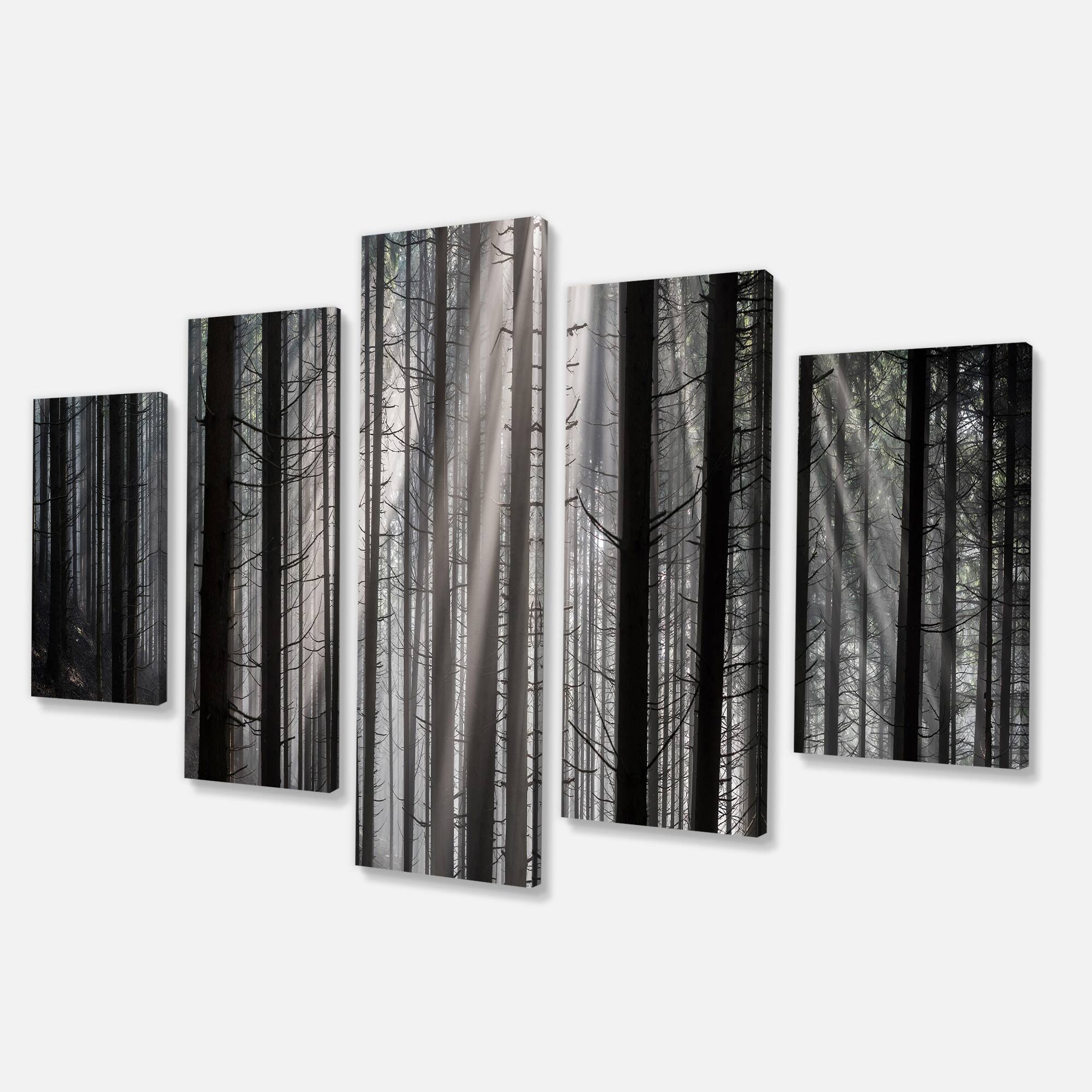 Designart - Sunbeams Peeking Through Dark Forest