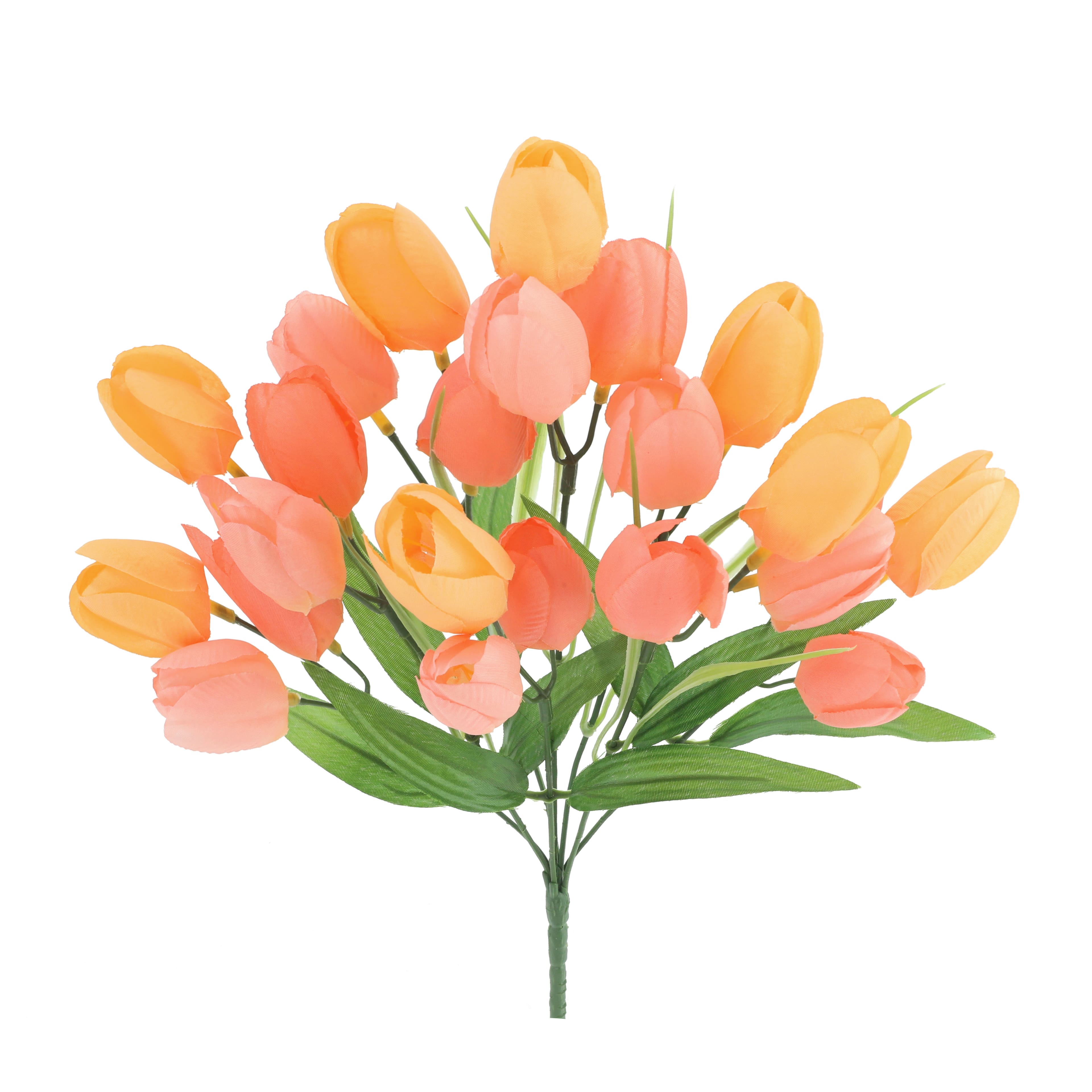 216 Pack: 14" Tulip Bush by Ashland