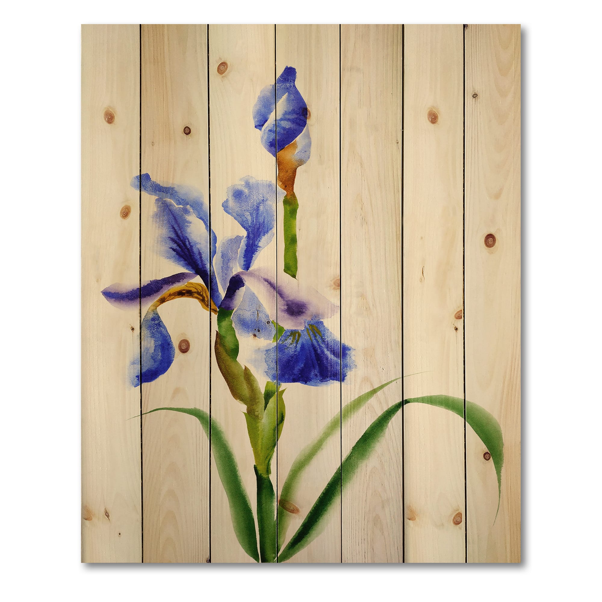 Designart - Retro Blue Iris Flower - Traditional Print on Natural Pine Wood