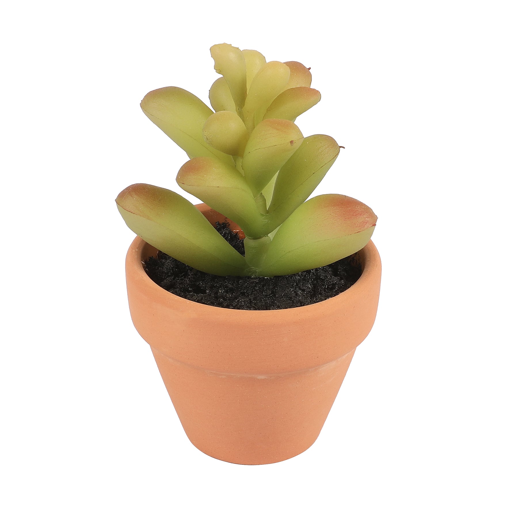 6 Packs: 6 ct. (36 total) Mixed Mini Premade Succulents in Terra Cotta Pots by Ashland®