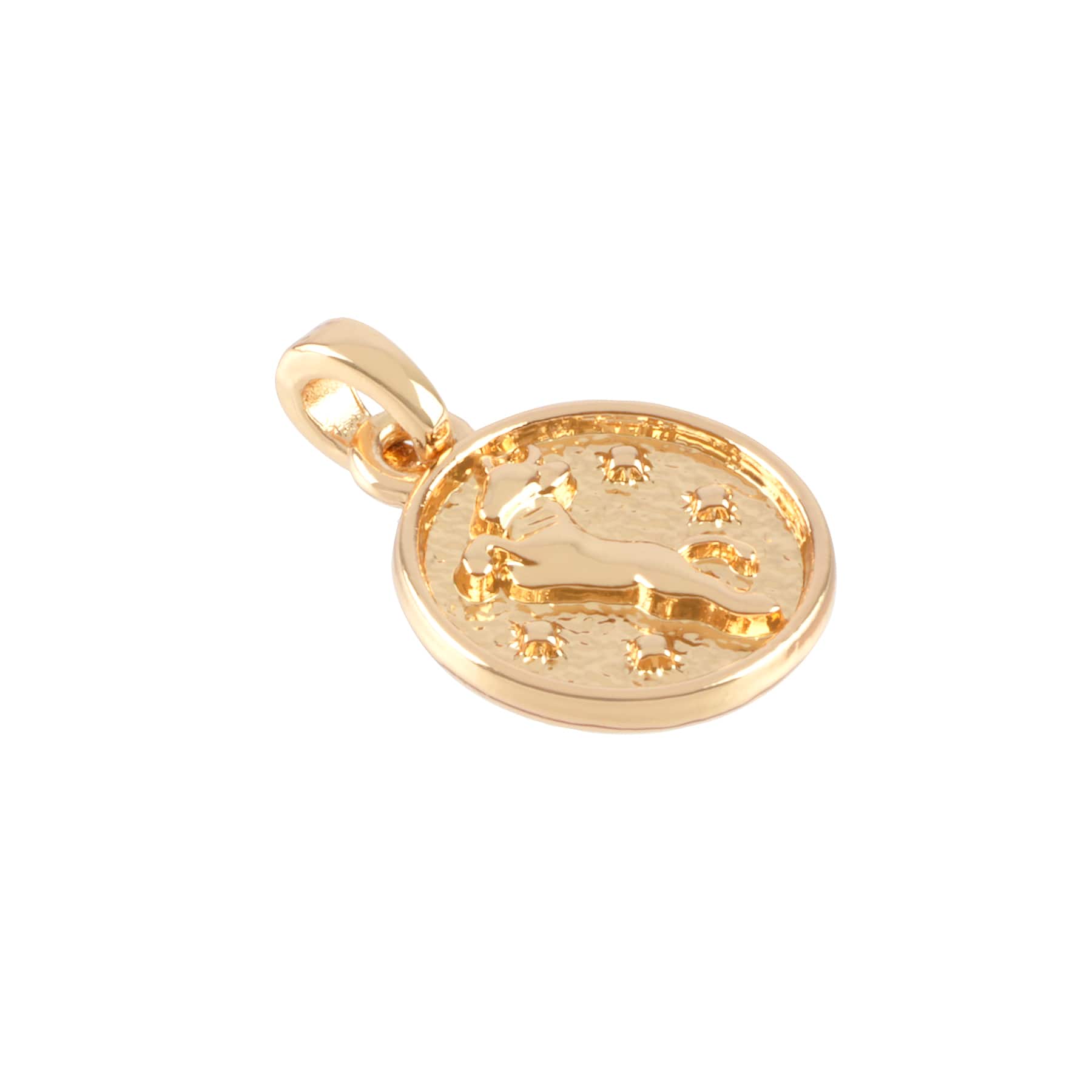 12 Pack: Metal Zodiac Coin Charm by Bead Landing™