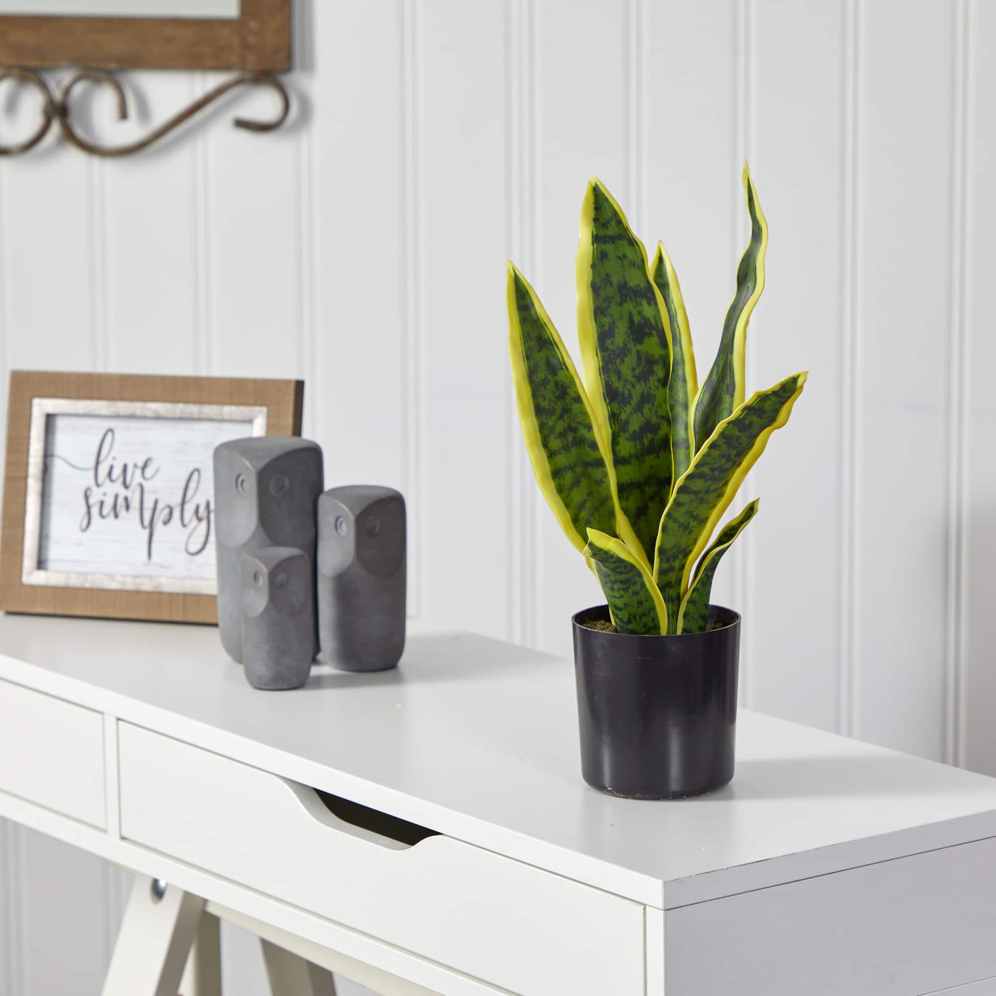 14" Potted Variegated Snake Plant