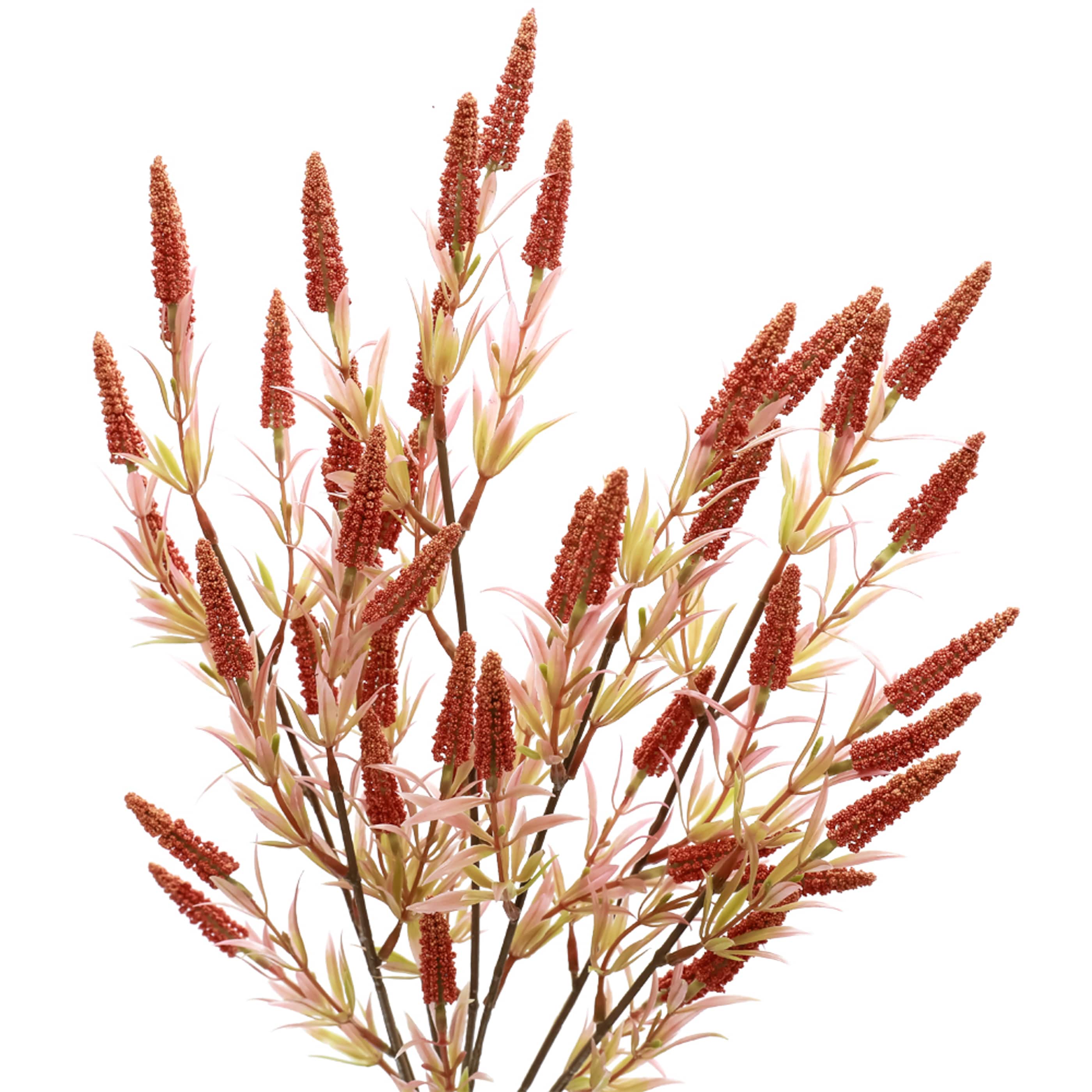 18.5" Orange Heather Berry Bush by Ashland®