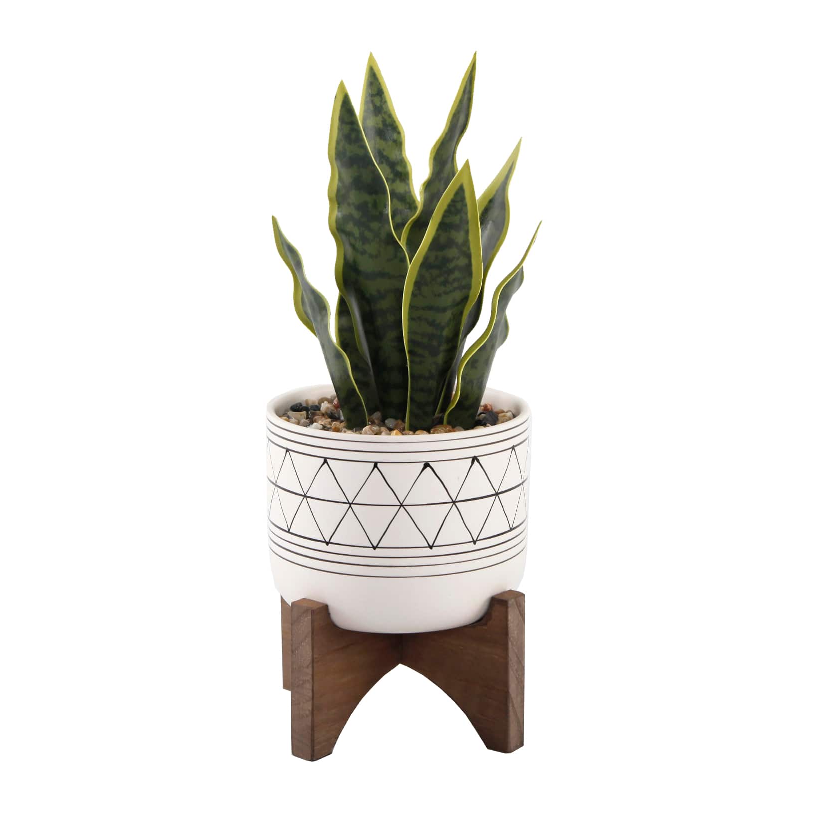 Flora Bunda® 12" Snake Plant In Ceramic On Stand