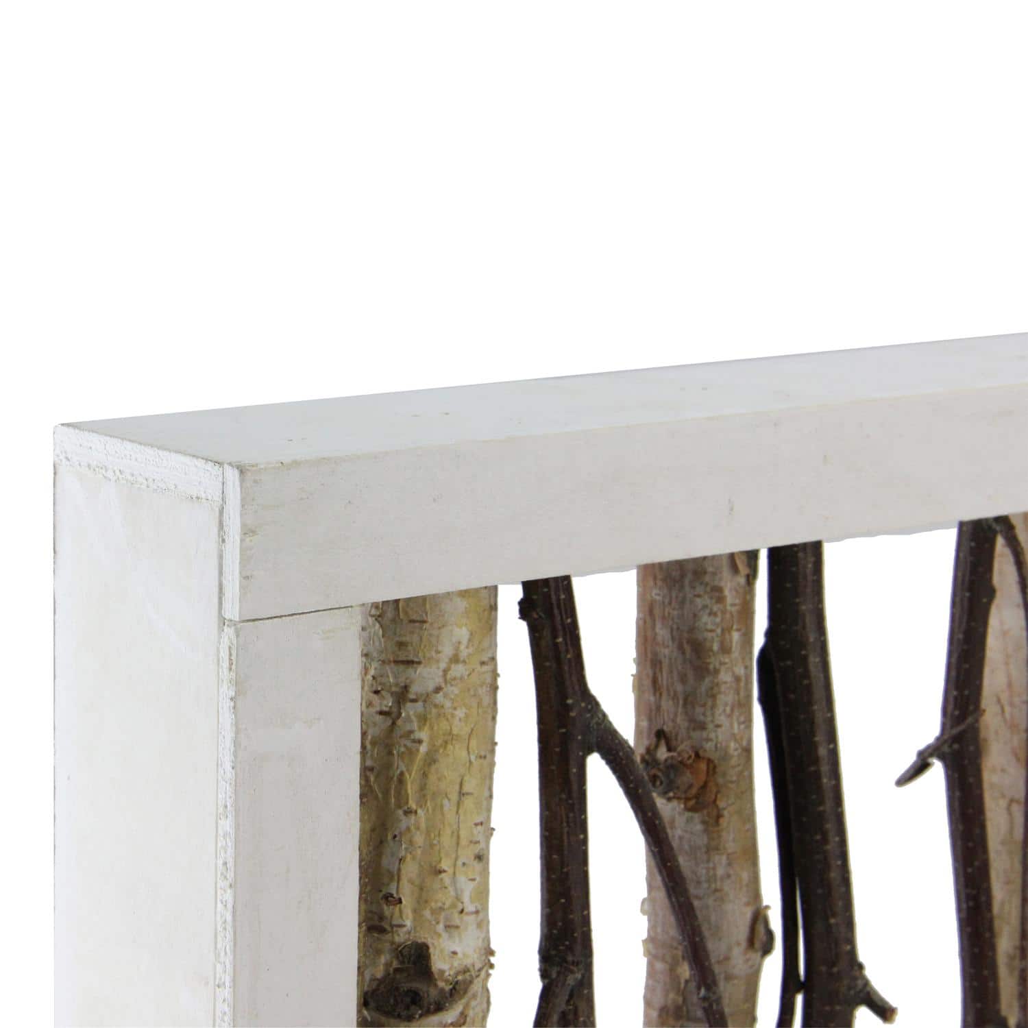 22.75" Mixed Branches in White Wood Frame