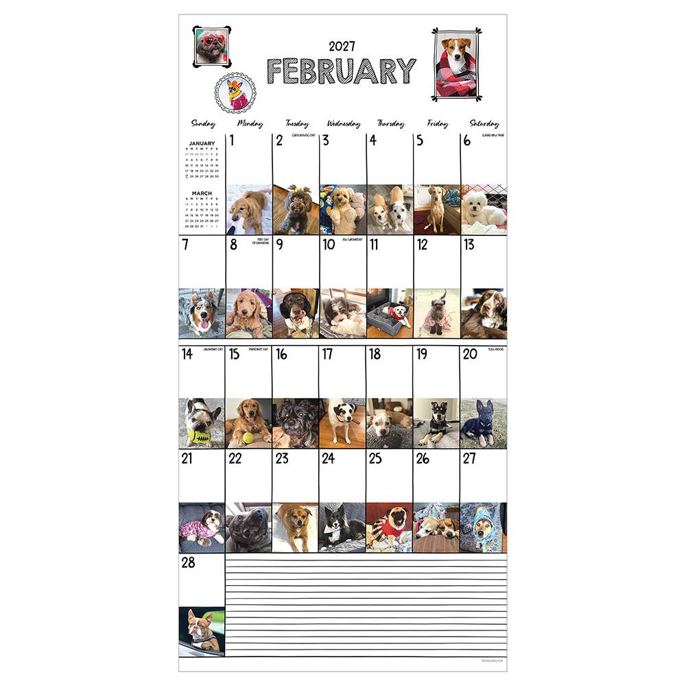2027 Dog-A-Day Wall Calendar