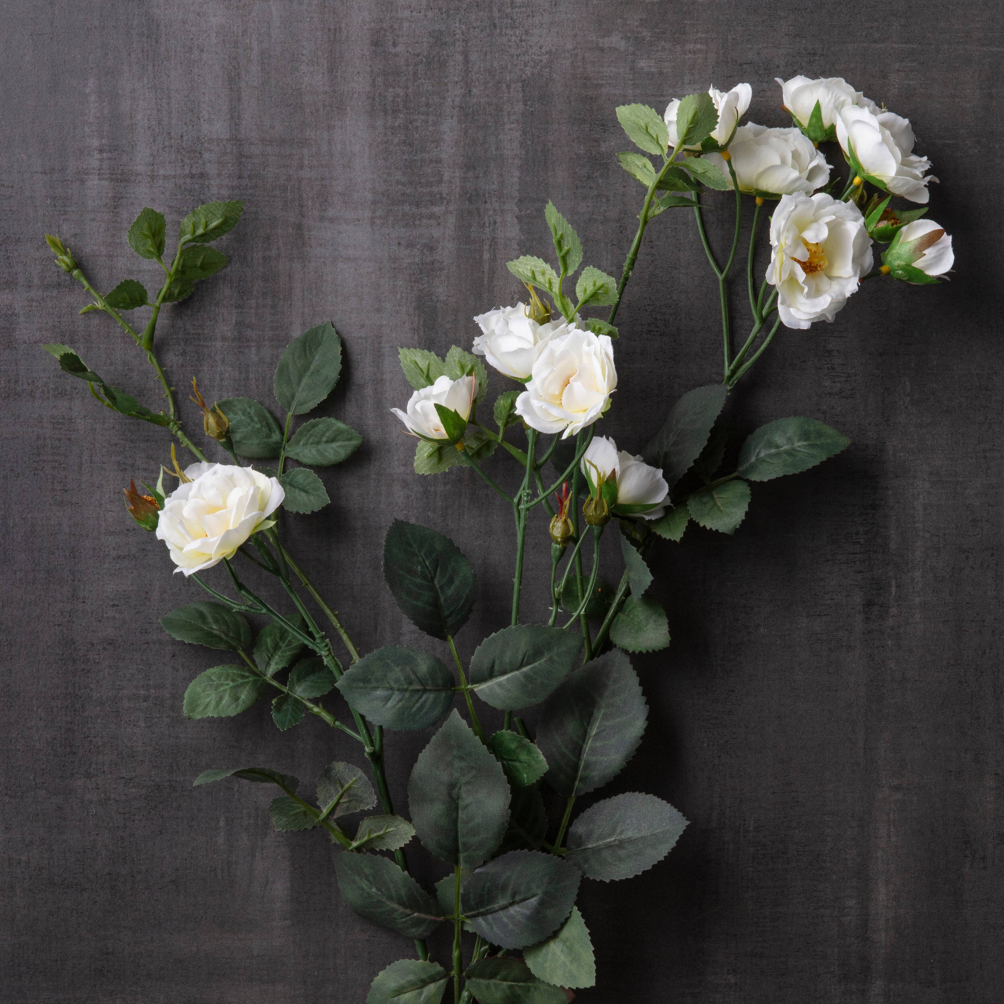 Cream Kate Rose Stem by Ashland®