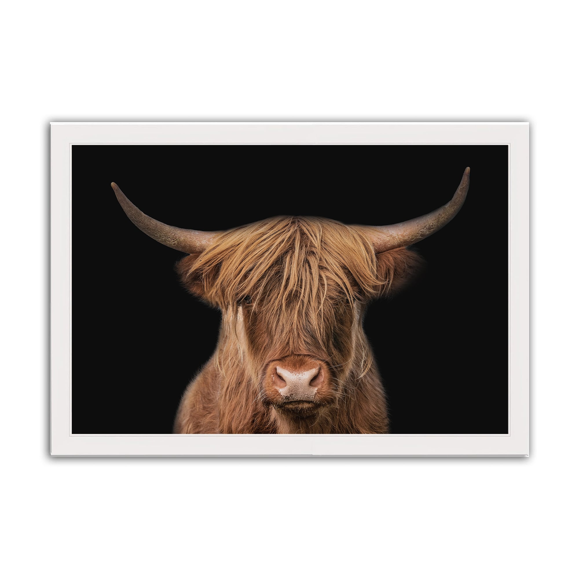 Moody Highland Cow 11" x 14" White Framed Print Under Plexiglass