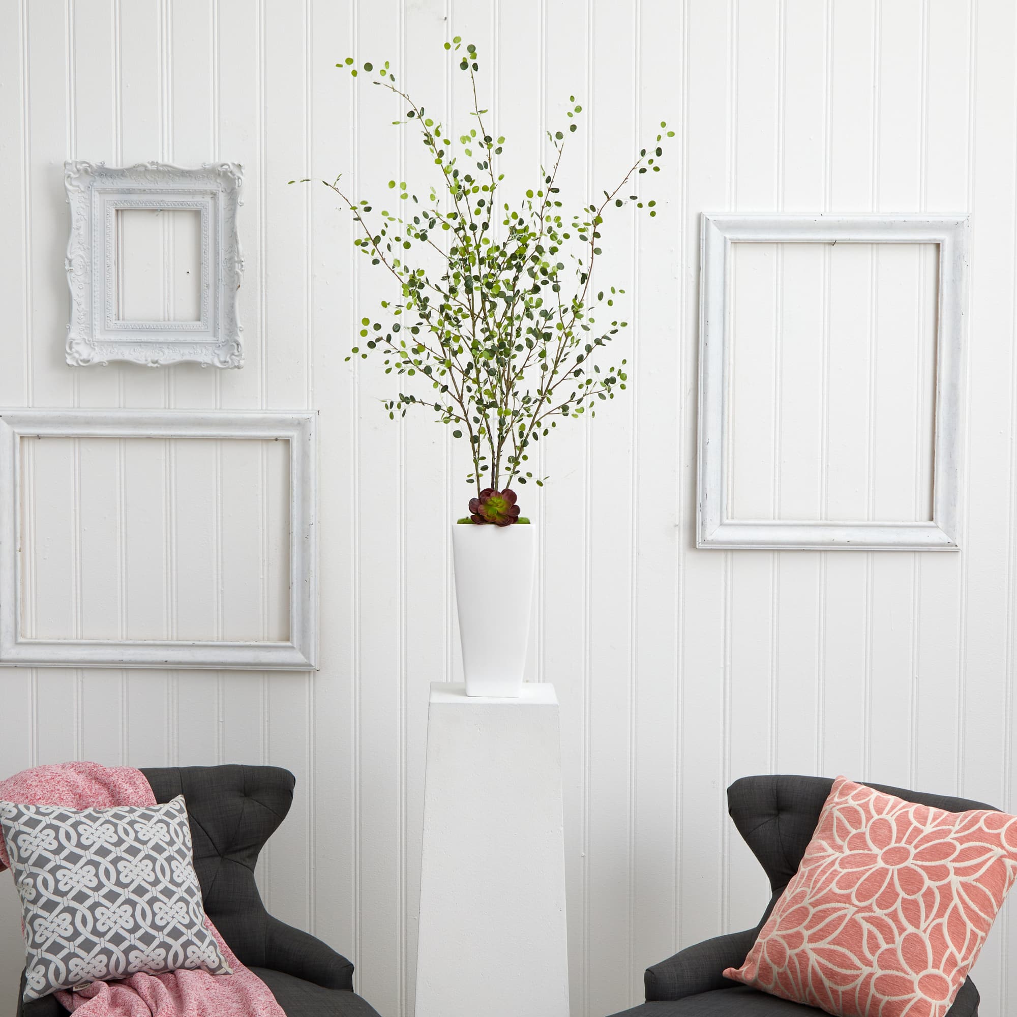 4ft. Night Willow in White Planter