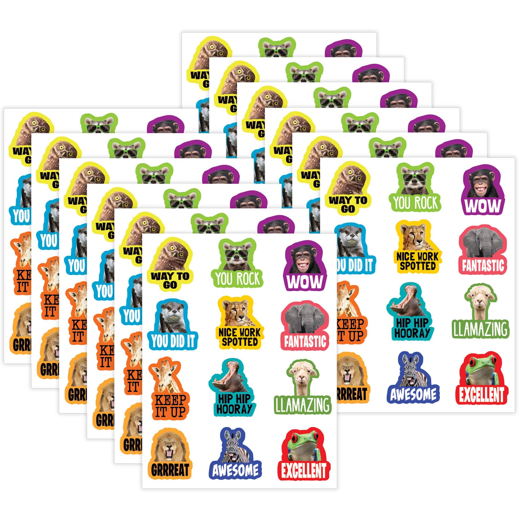 Teacher Created Resources® Go Wild Animals Stickers, 72 Per Pack, 12 Packs total of 854