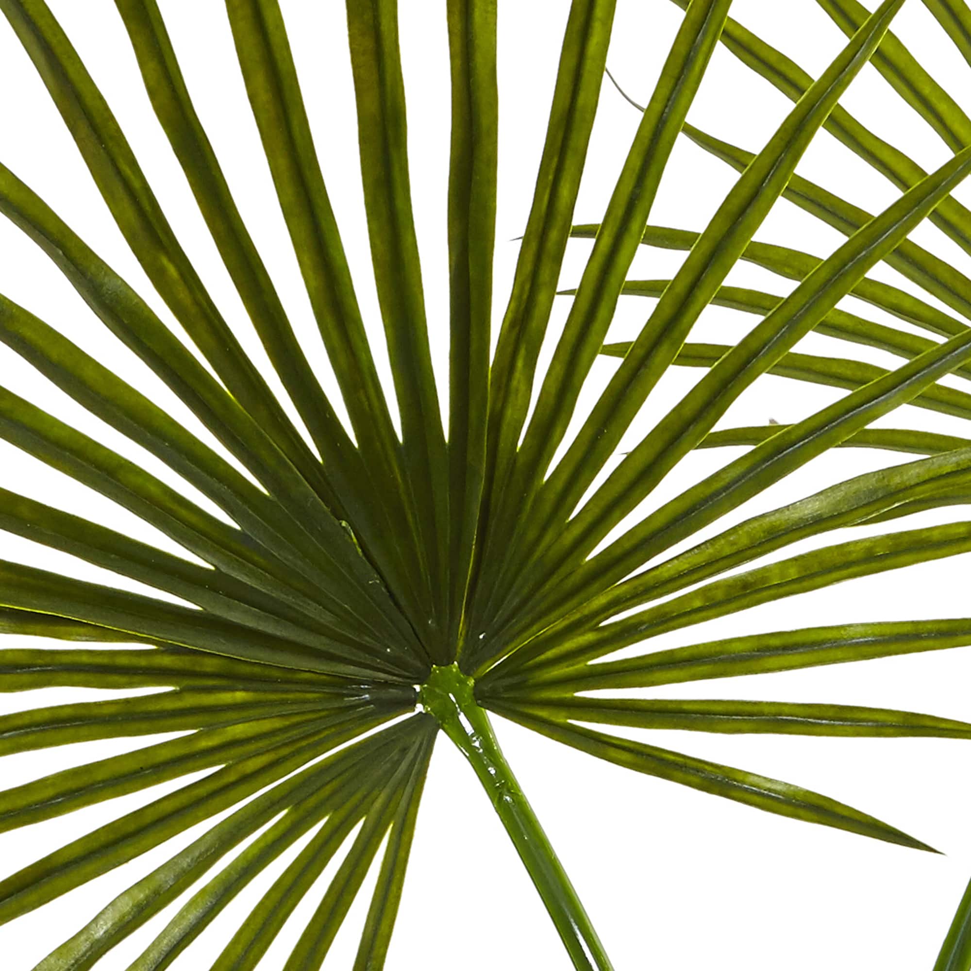 4ft. Green Fan Palm Arrangement in Glass Vase
