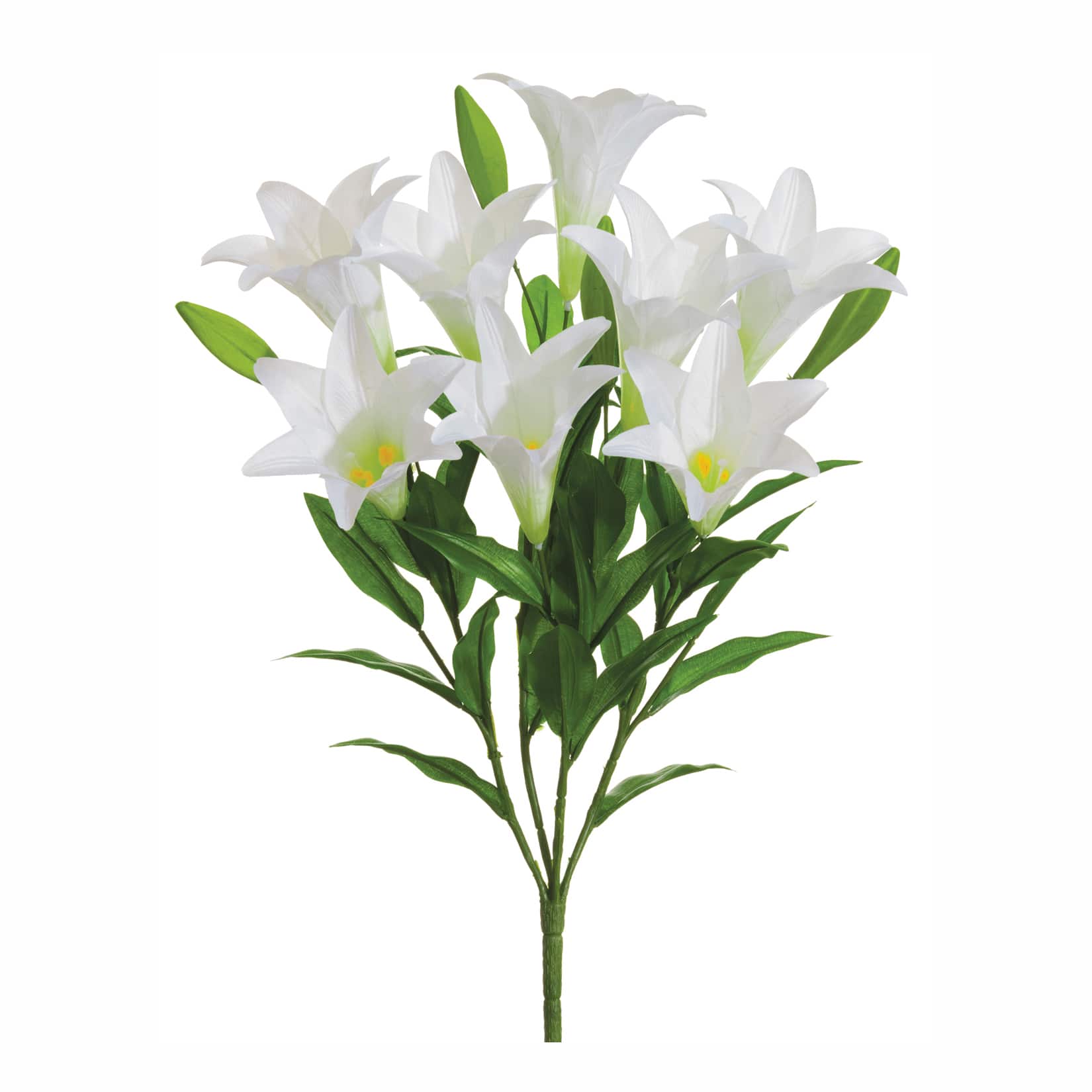 White Easter Lily Bush