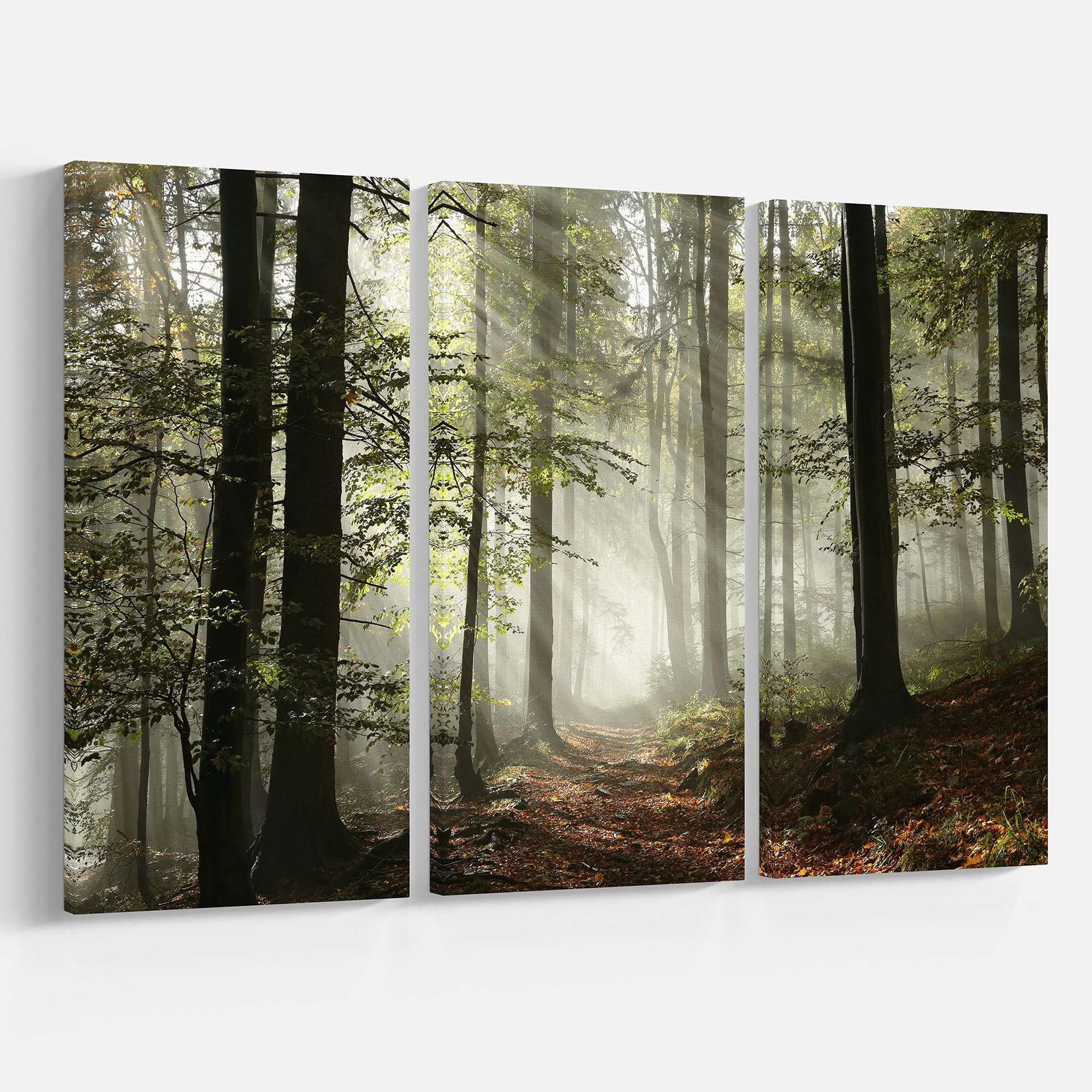 Designart - Light in Dense Fall Forest with Fog - Landscape Art Print Canvas