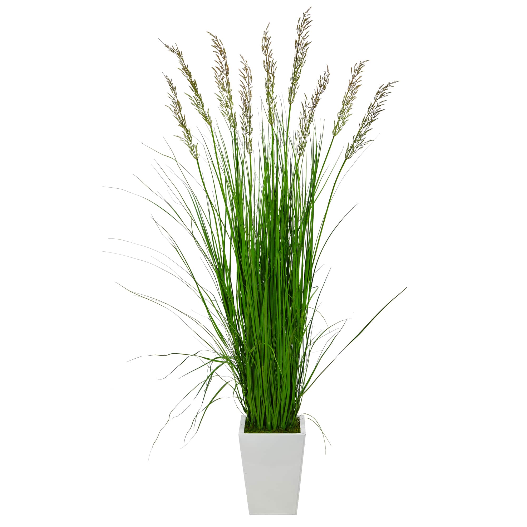 6.25ft. Grass Plant in White Metal Planter