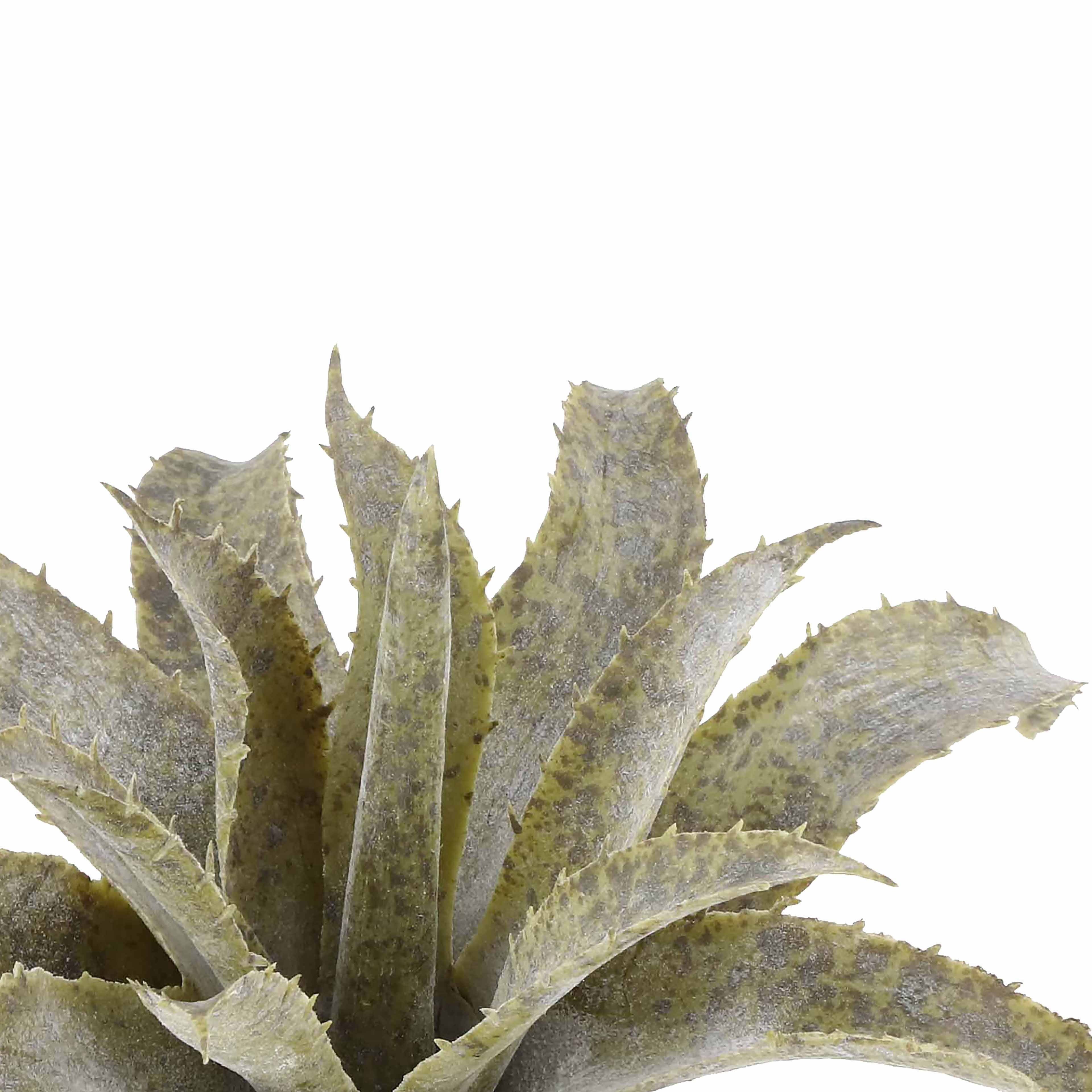 7.5" Two Toned Green Aloe Pick by Ashland®