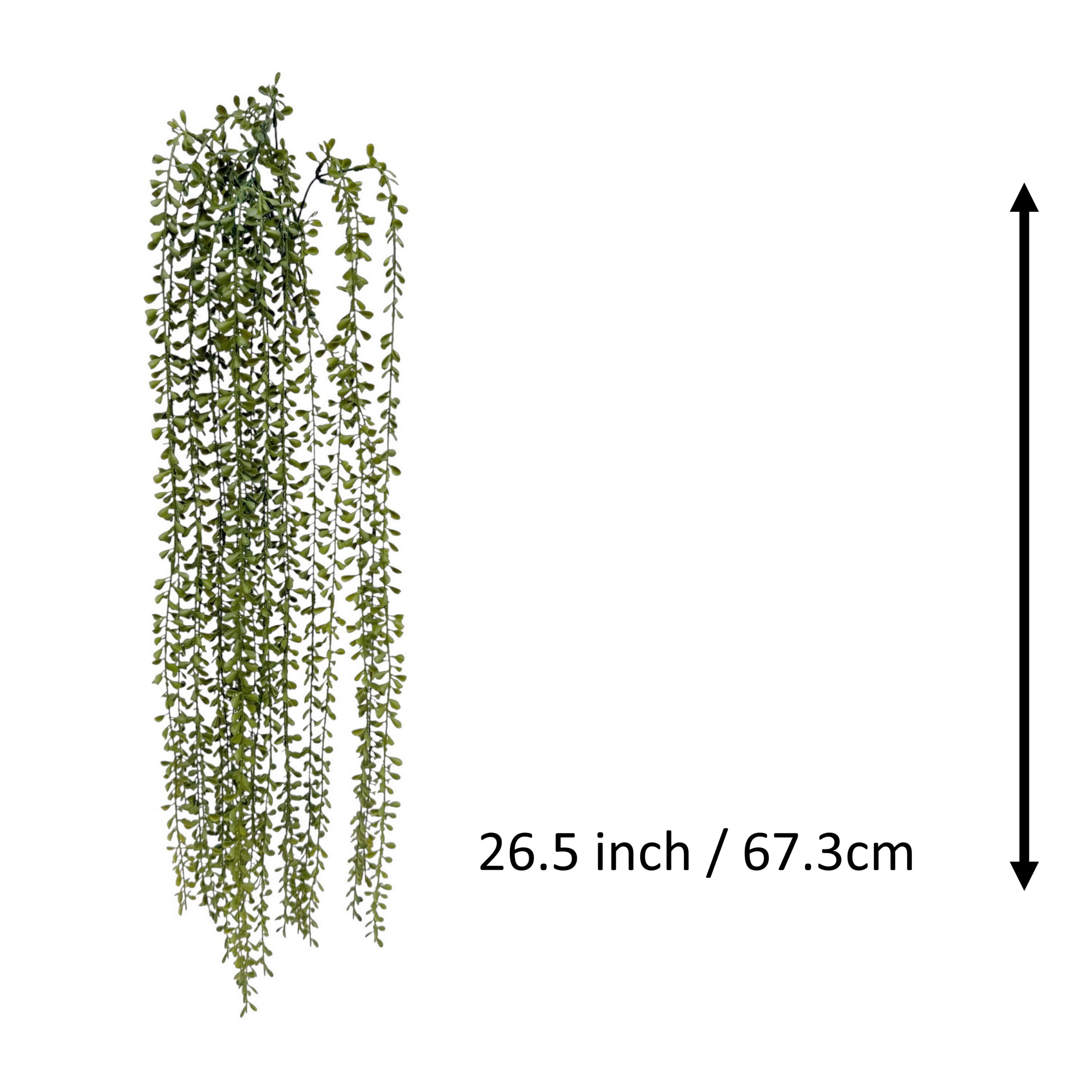 26.5" Hanging Jade Bush by Ashland®