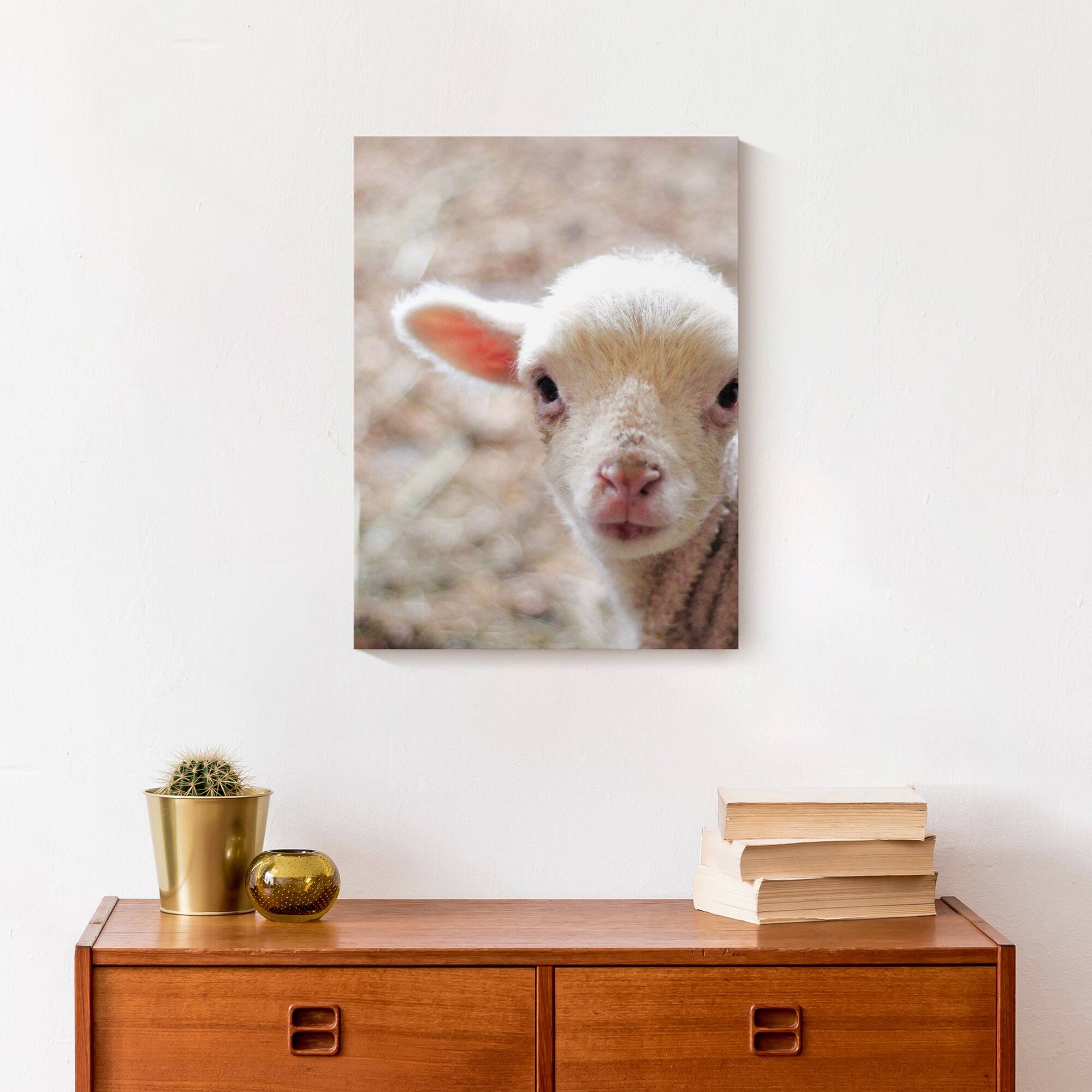 Baby Lamb 12" x 16" Canvas Wall Art
