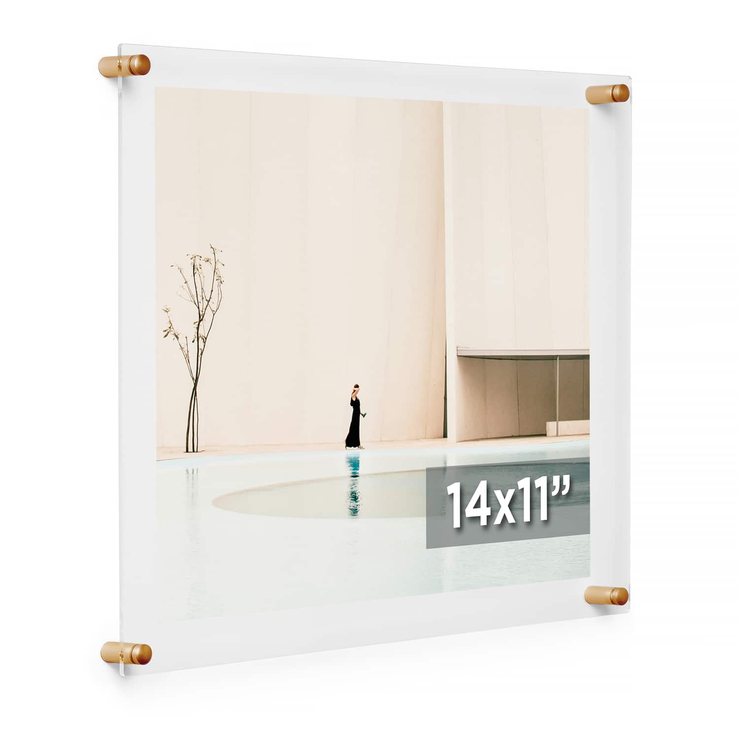 Cool Modern Frames Clear Acrylic Float Frame with Gold Hardware
