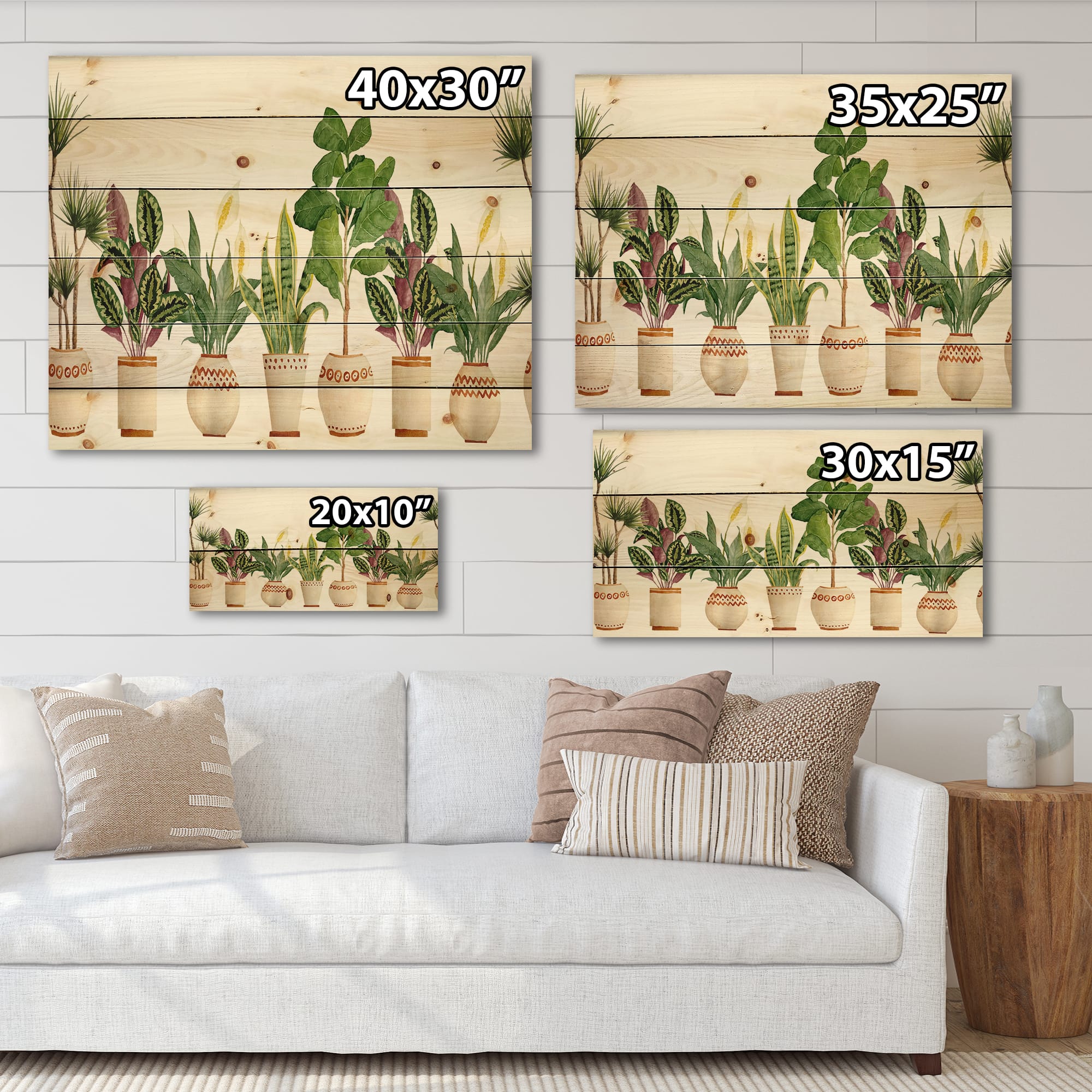 Designart - Trio of Houseplants Sanseviera Snake Plant - Farmhouse Print on Natural Pine Wood