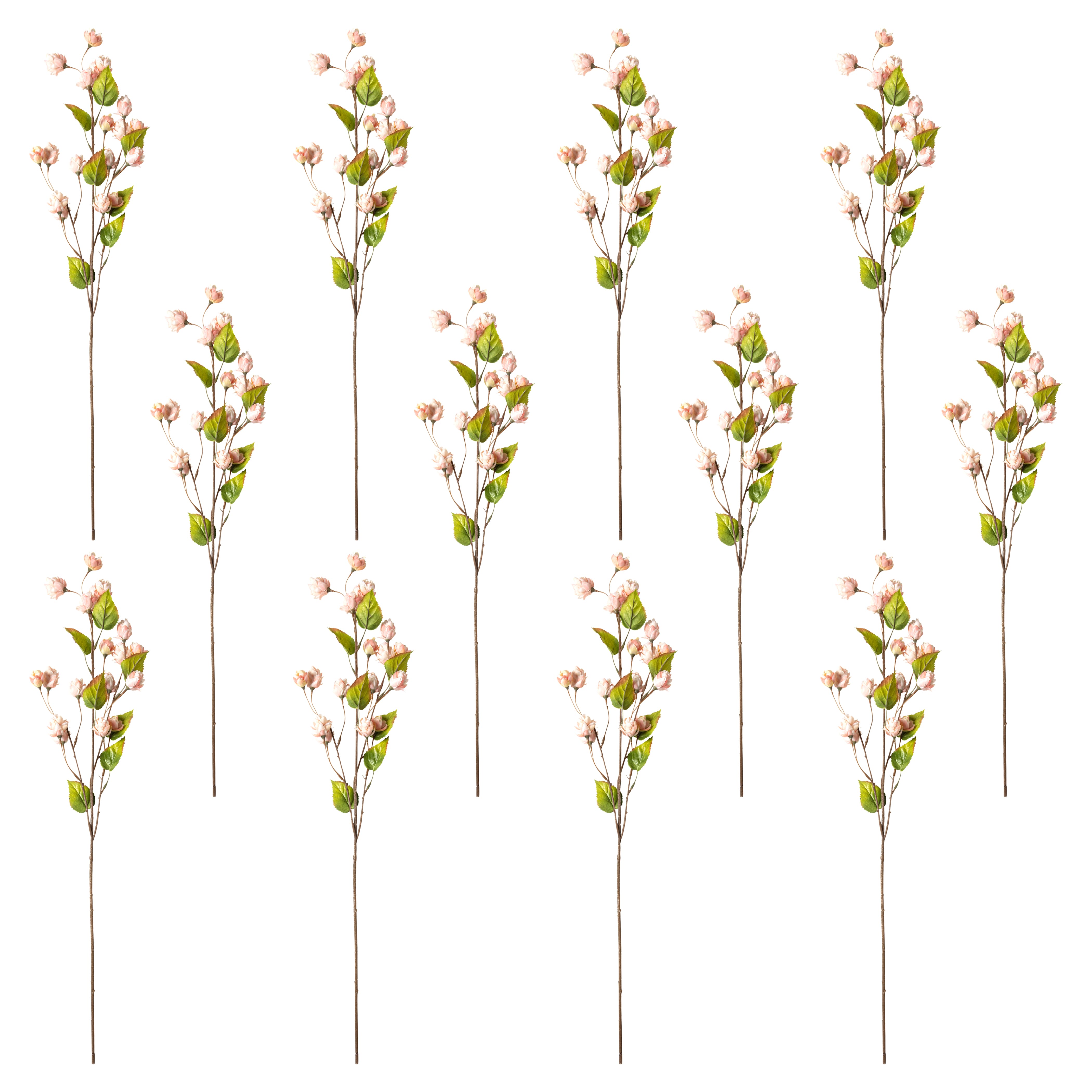 12 Pack: Blush Hops Stem by Ashland®