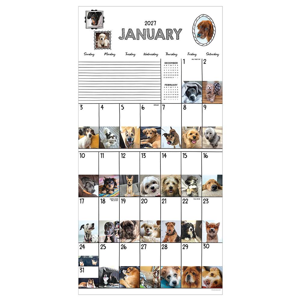 2027 Dog-A-Day Wall Calendar