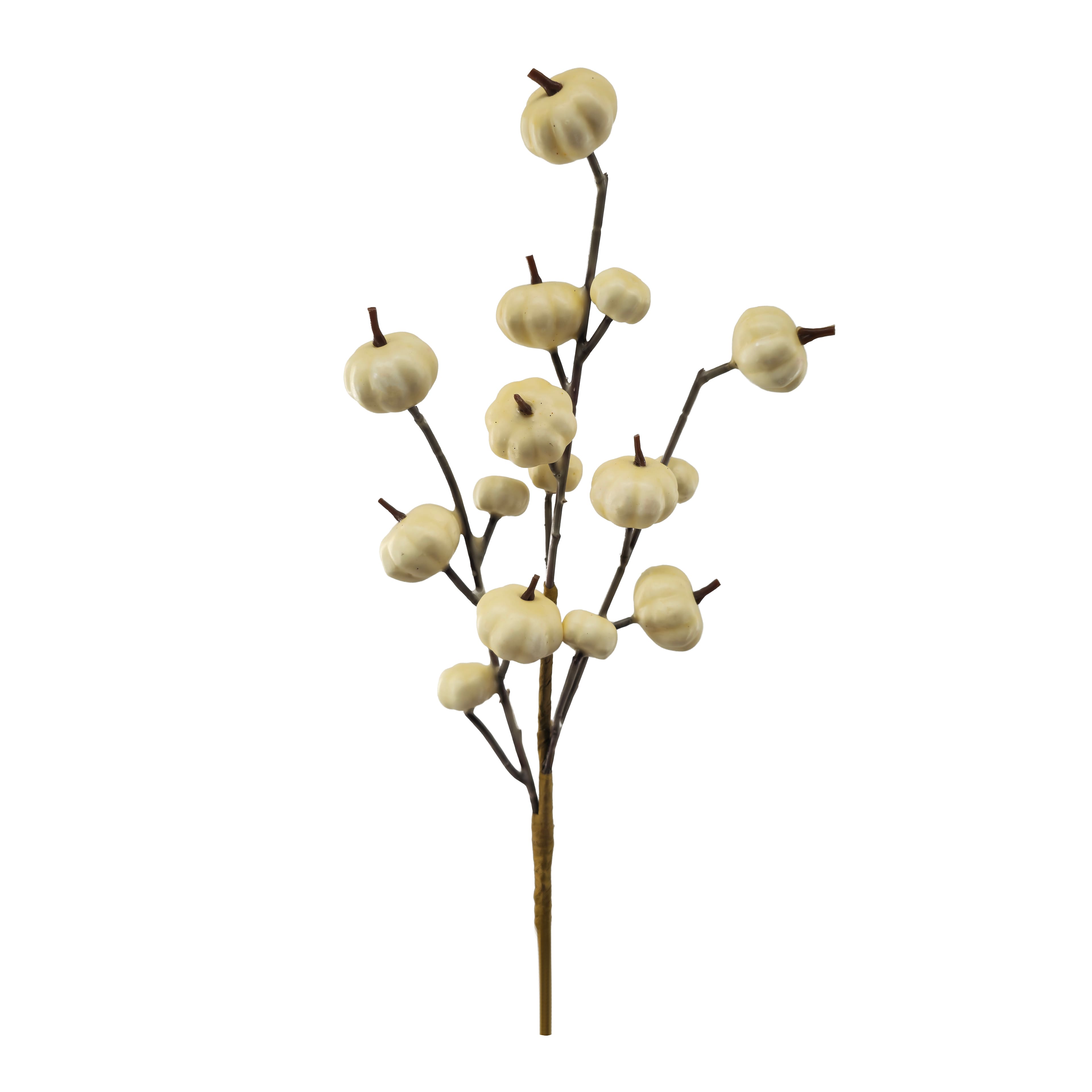 12" Cream Mini Pumpkin Pick by Ashland®