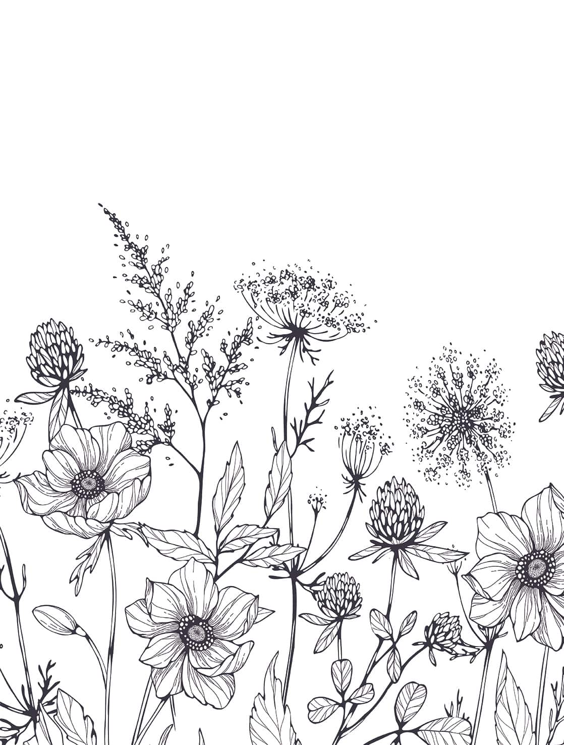 Designs Direct Meadow Bloom Sketch Black Wall Mural