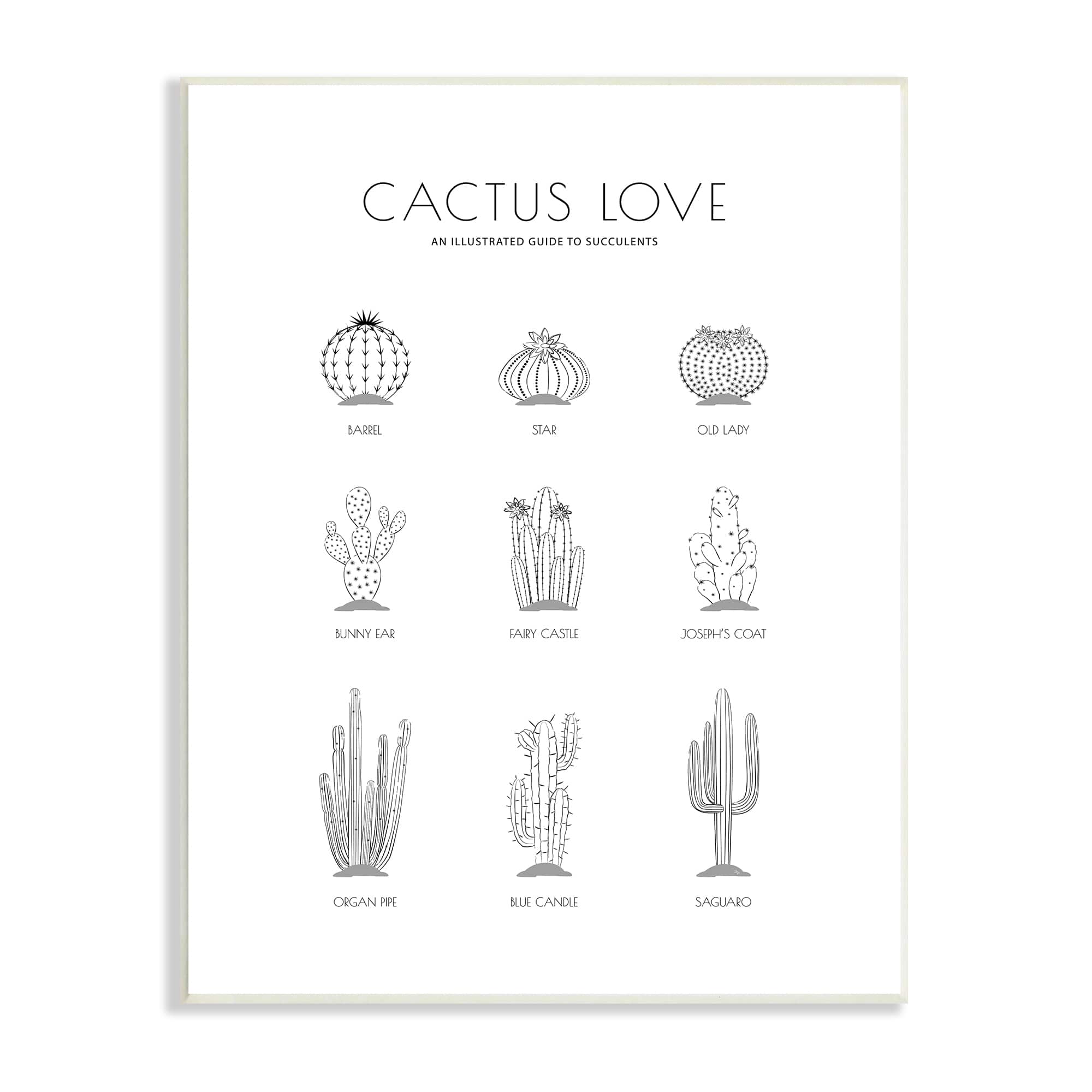 Stupell Industries Illustrated Guide to Succulents Minimal Modern Cactus Plant Wall Plaque