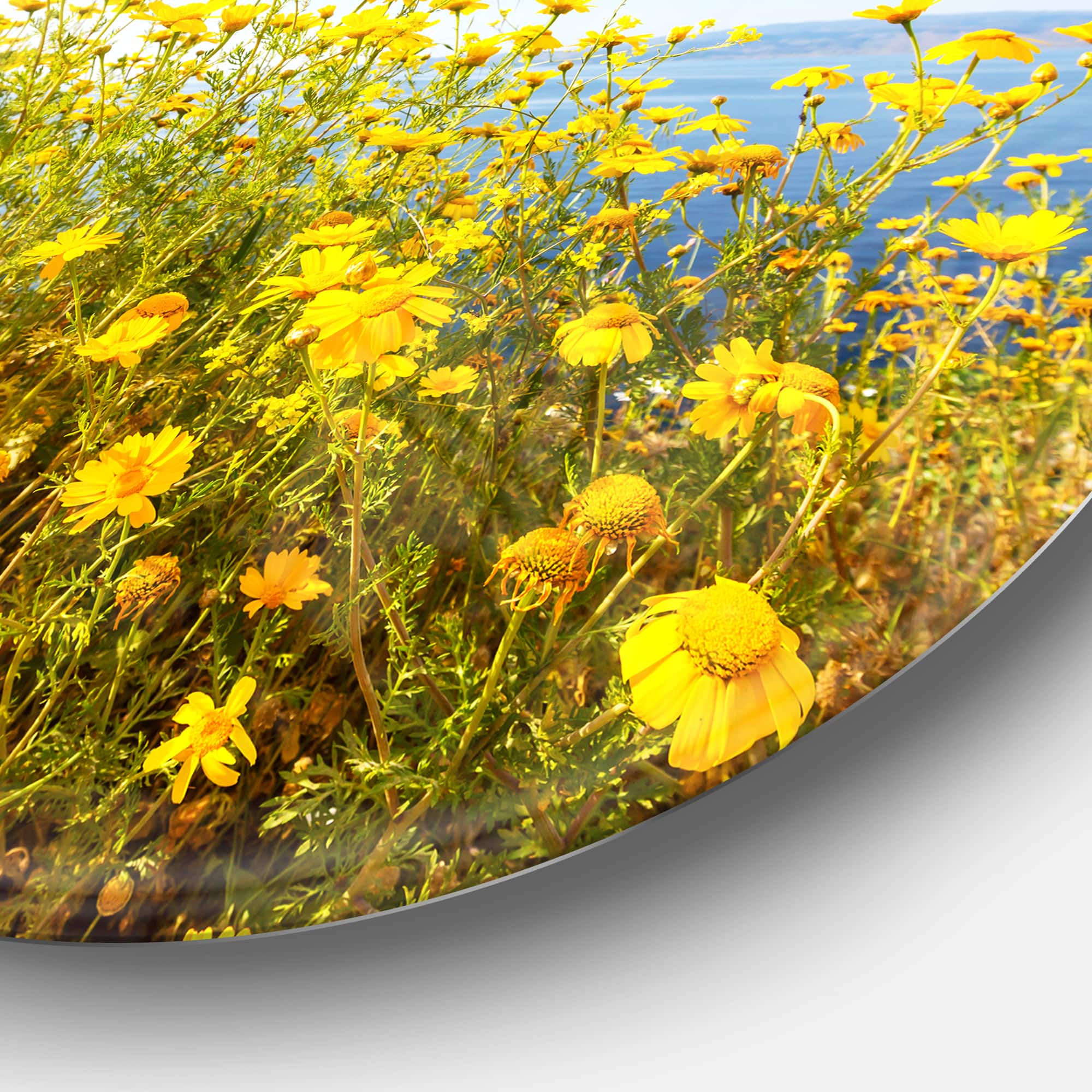 Designart - Little Yellow Flowers over Seashore' Large Flower Oversized Metal Circle Wall Art