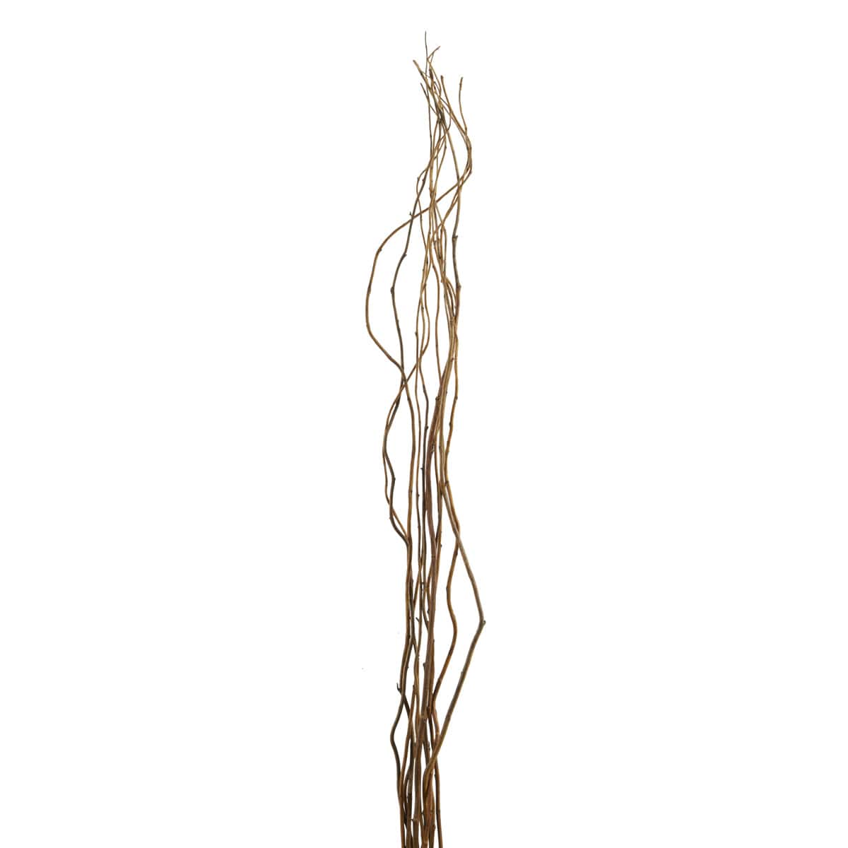 12 Pack: Natural Curly Willow by Ashland