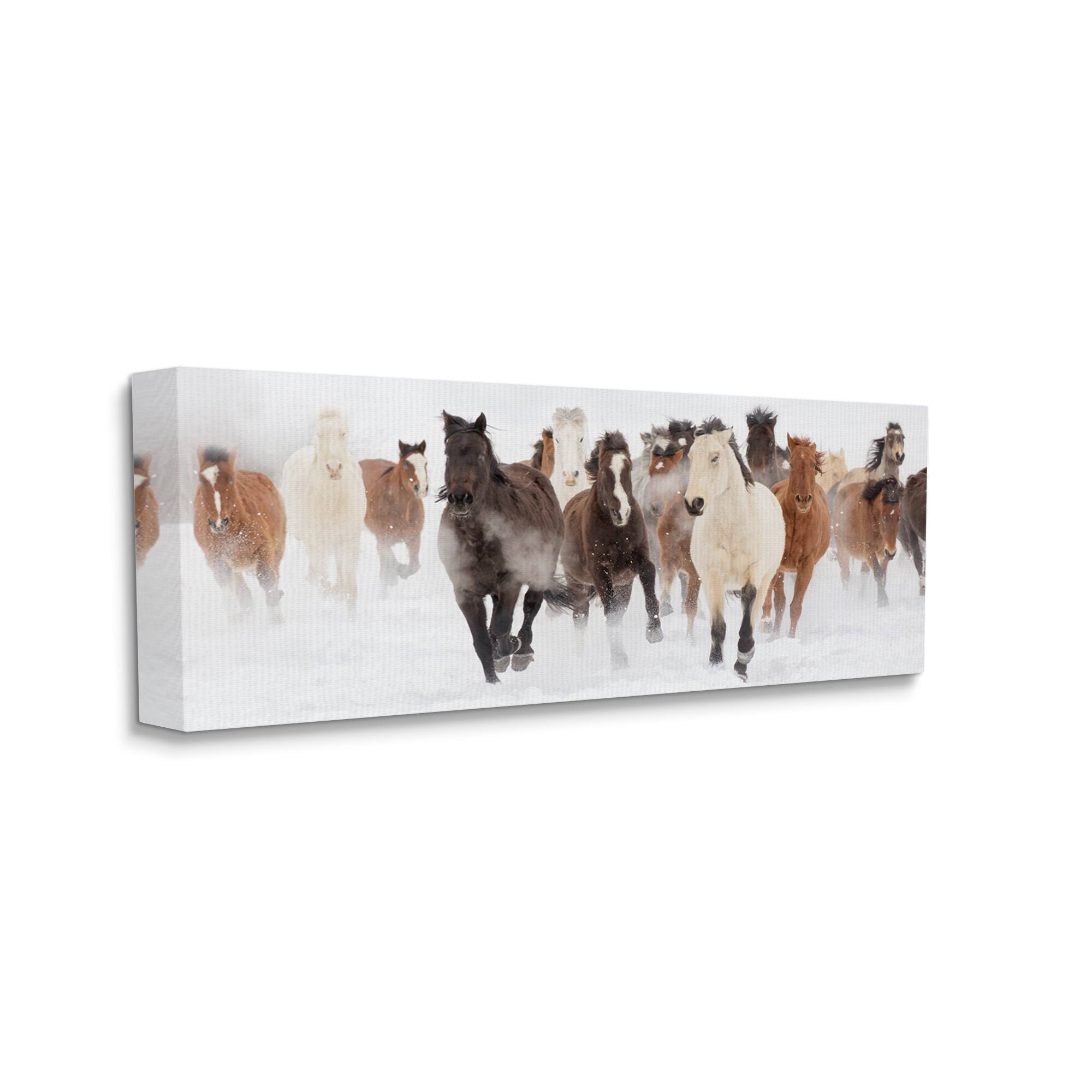 Stupell Industries Wild Horses Herd Foggy Winter Day Canvas Wall Art