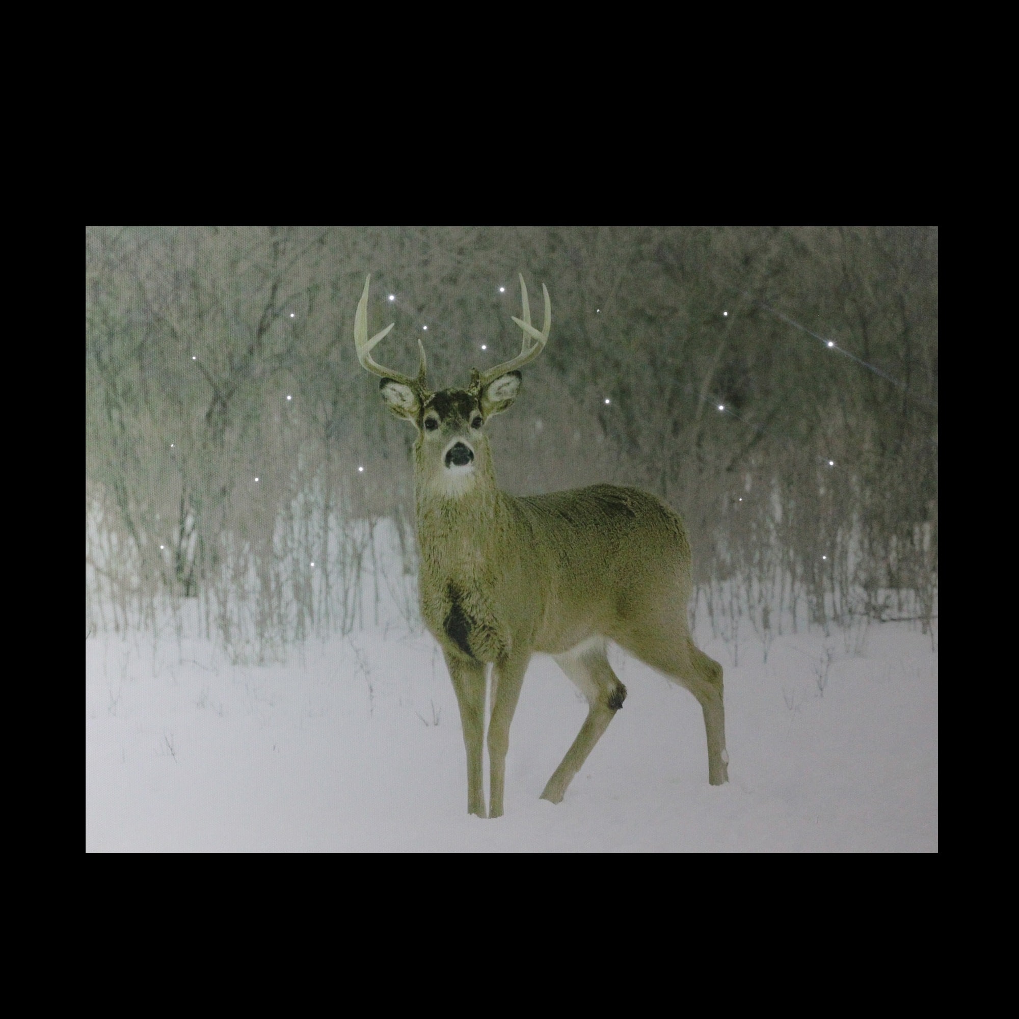 Fiber Optic Majestic Buck Canvas Wall Art