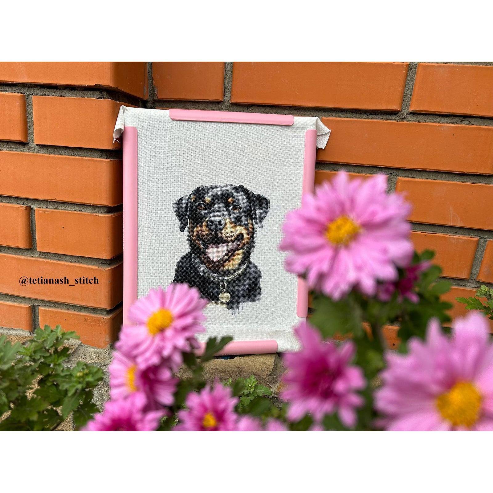 Luca-S Rottweiler Counted Cross Stitch Kit