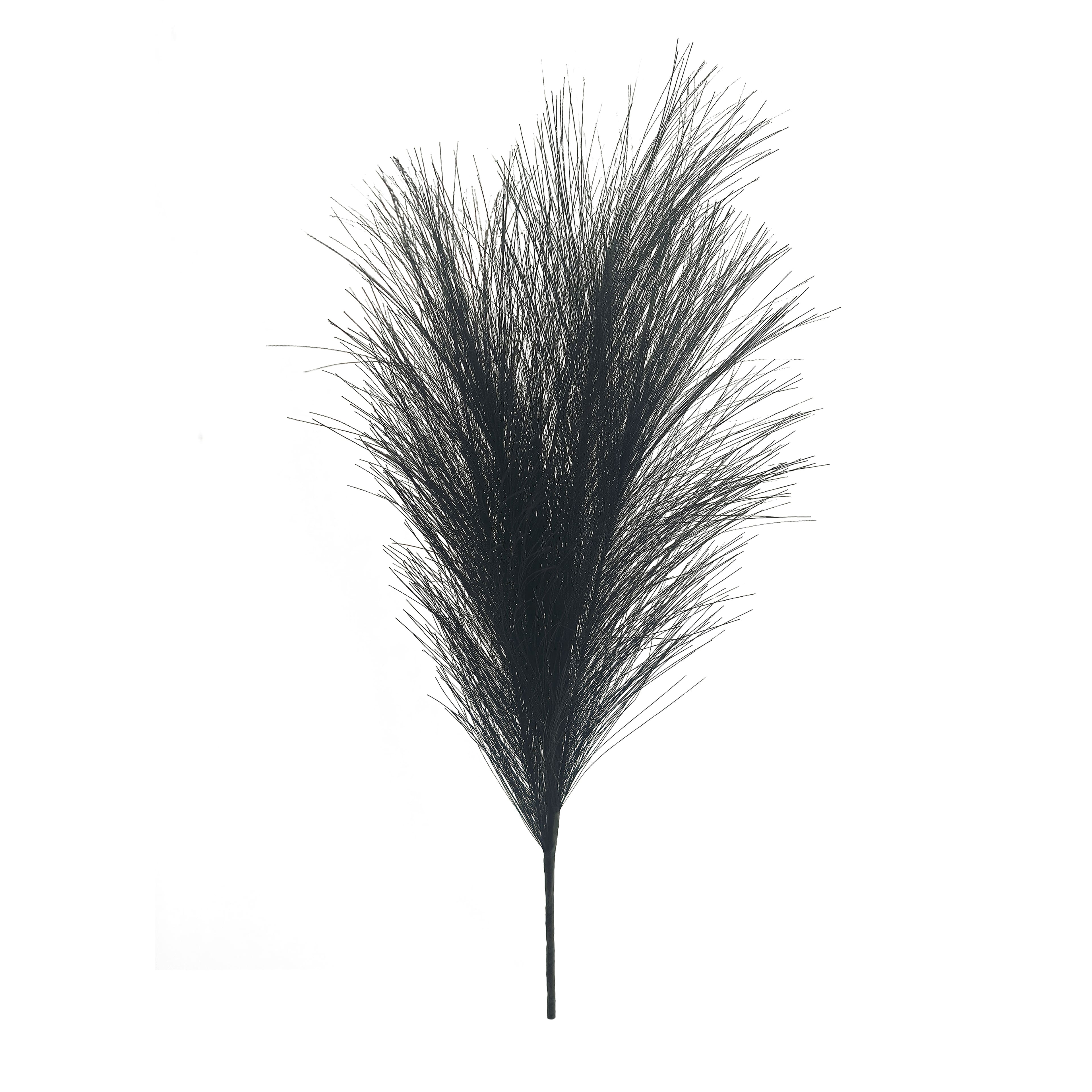 13.5" Black Pampas Pick by Ashland®