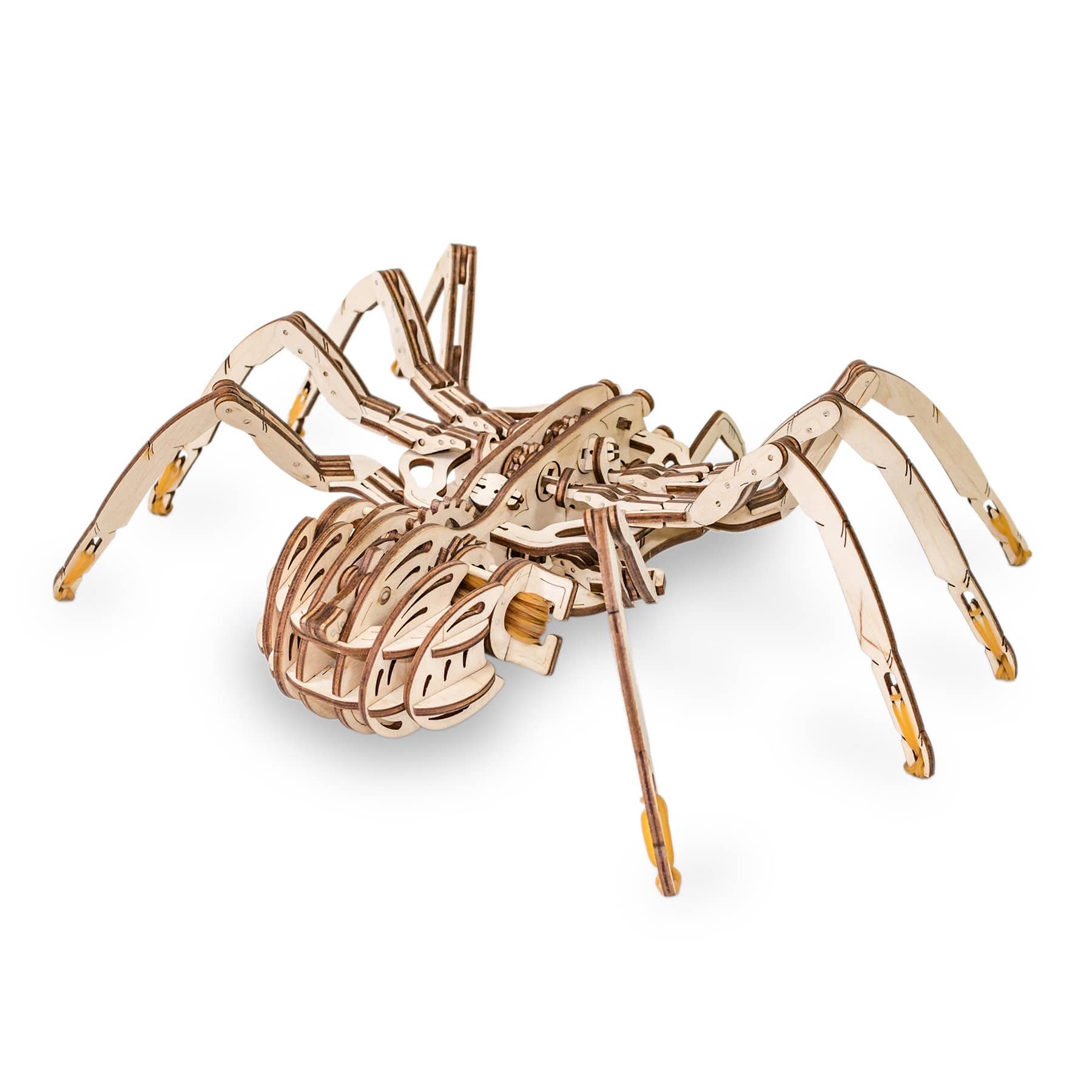EWA™ Eco-Wood-Art Spider 3D Wooden STEM Construction Kit