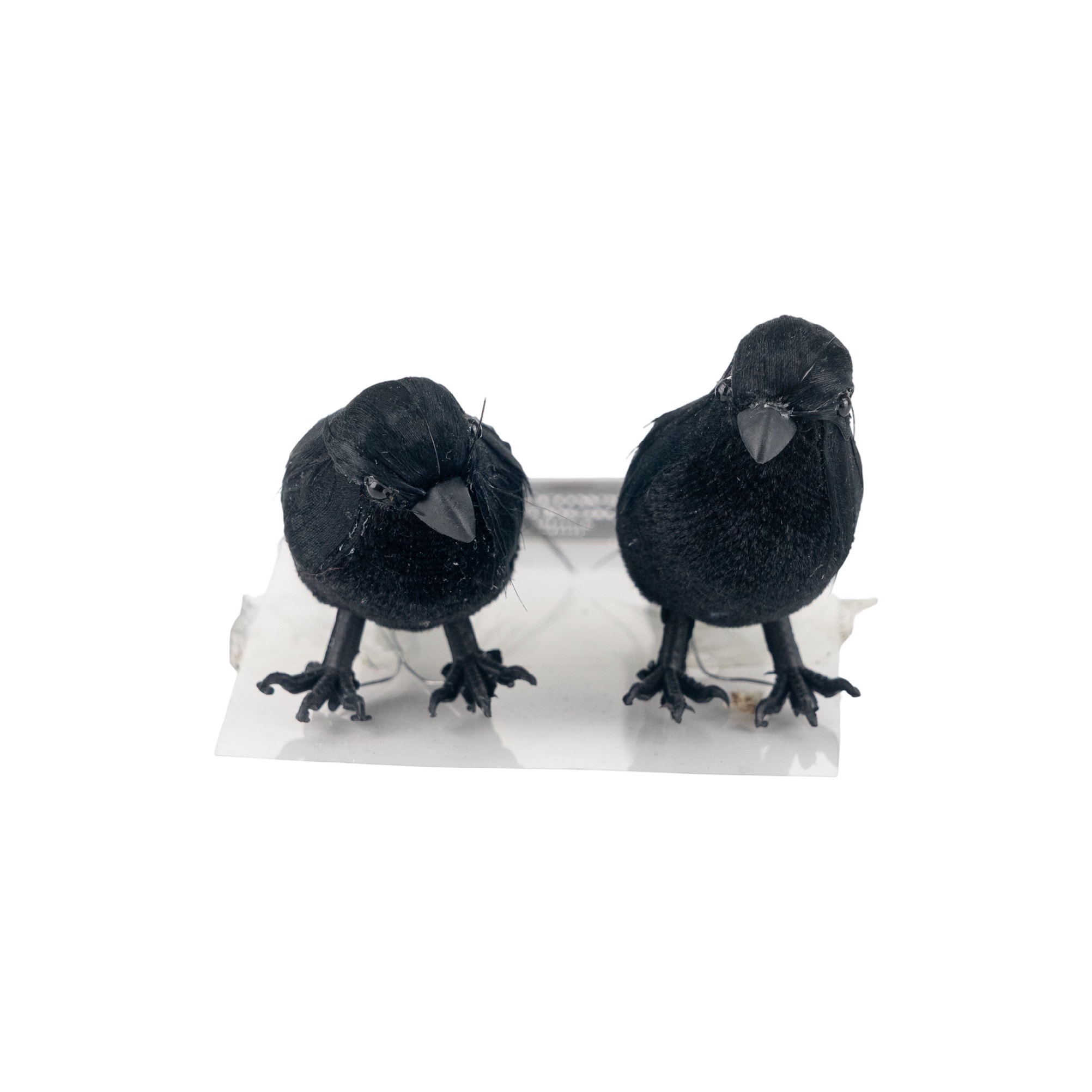 Mini Black Crows, 2ct. by Ashland® | Michaels