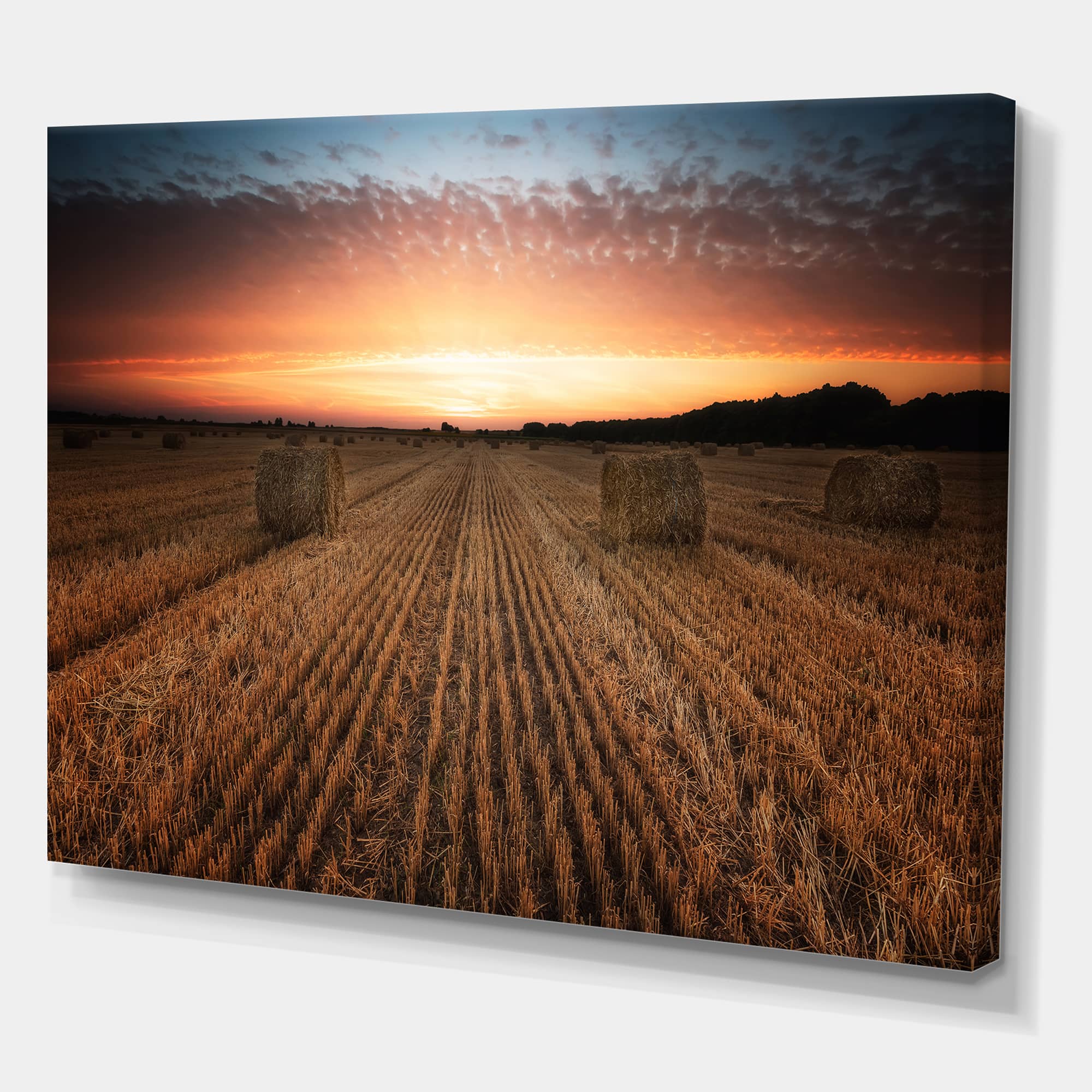 Designart - Landscape With A Field Full of Hay Bales At Sunset - Farmhouse Canvas Wall Art Print
