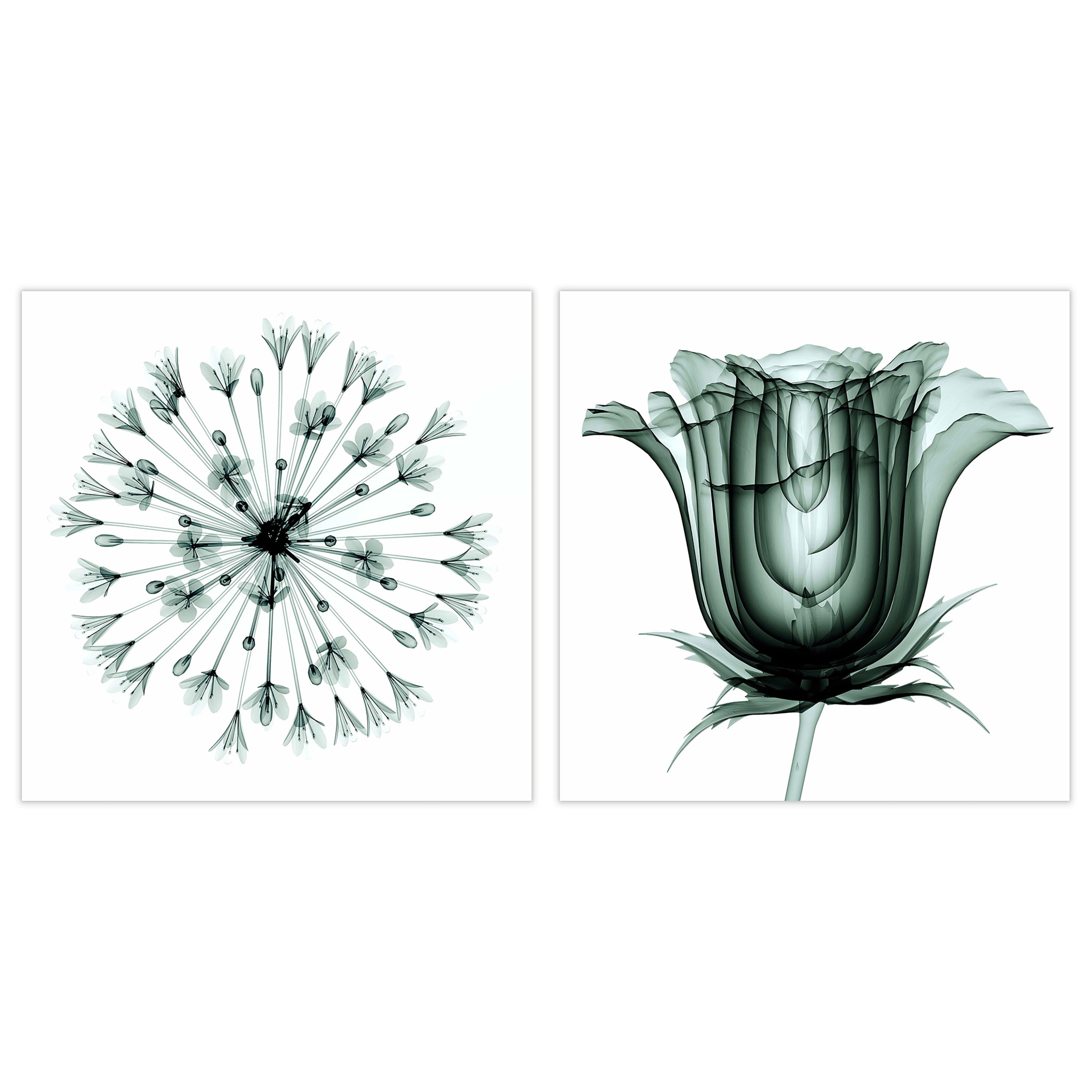 Empire Art Direct 24" x 24" African Bluebell Rose Veil Frameless Printed Tempered Glass Wall Art Set