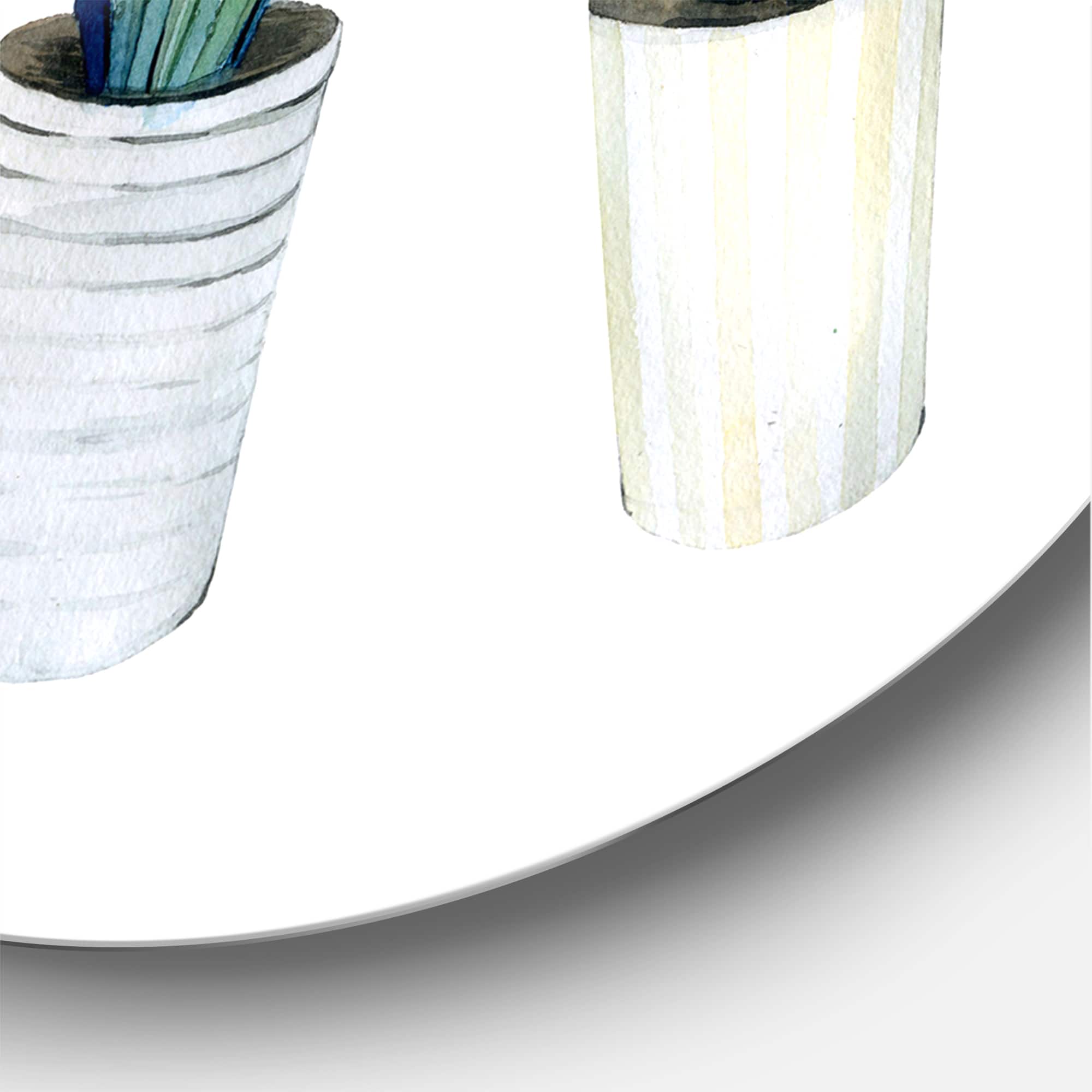 Designart - Cactus Succulent Aloe Vera Home Plants In The Pots