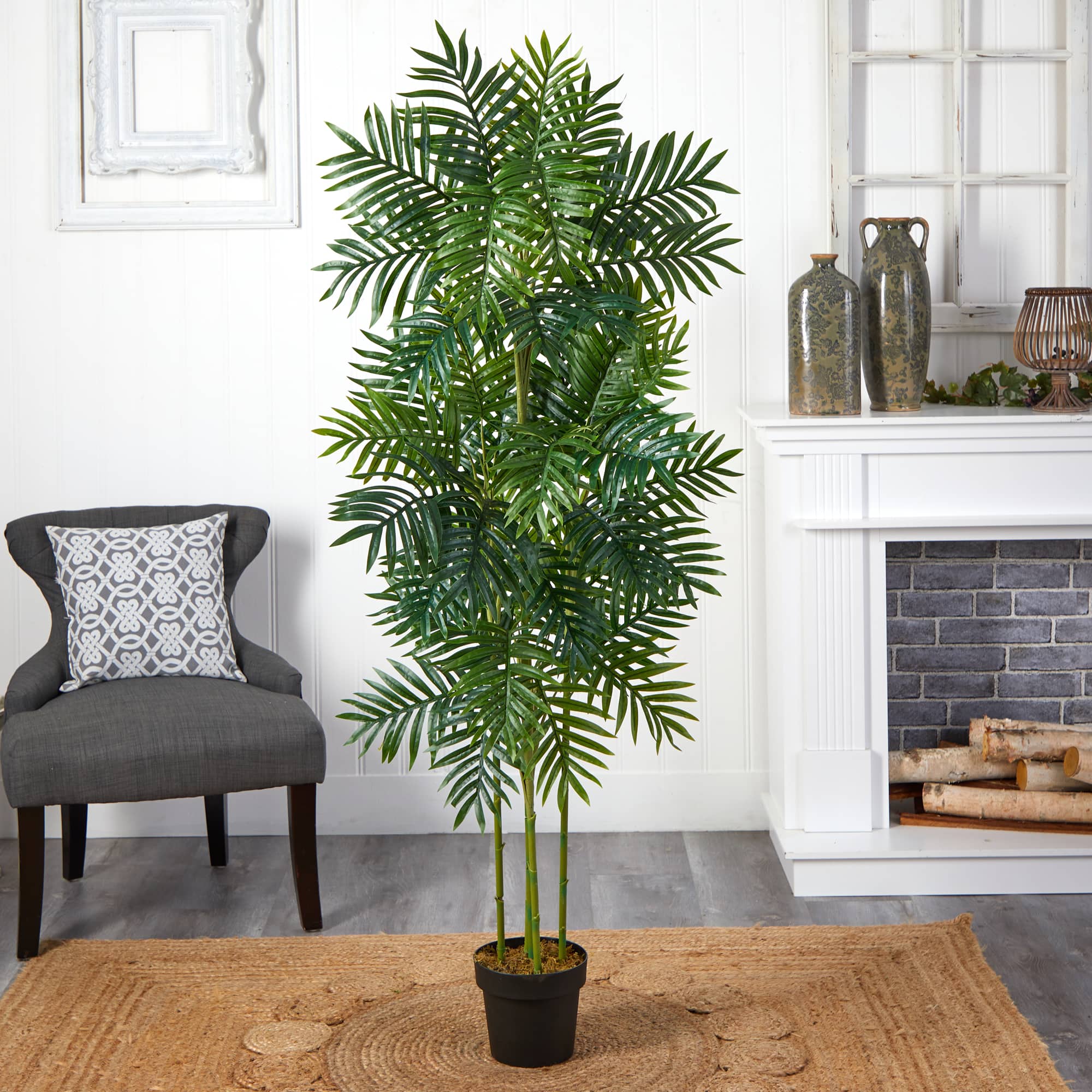 6ft. Potted Phoenix Palm Tree