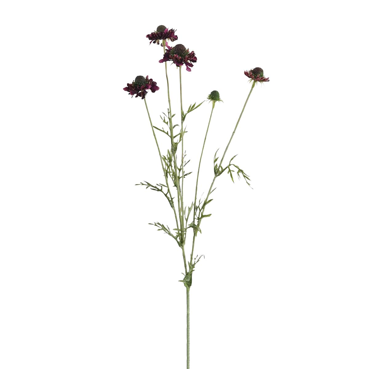 Prestige Botanicals 29" Artificial Violet Scabiosa Wildflower Stem