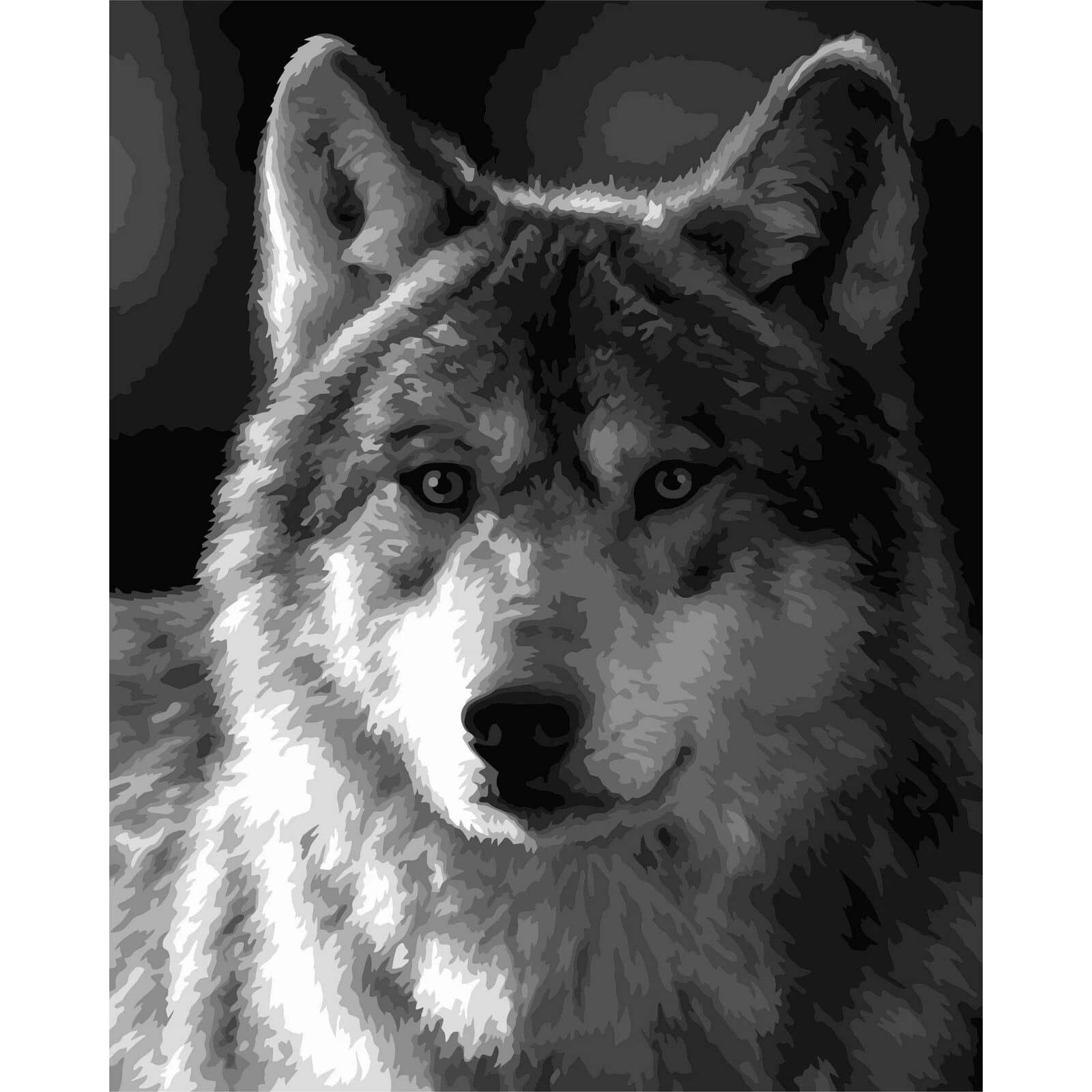 Crafting Spark Silver Wolf Painting by Numbers Kit